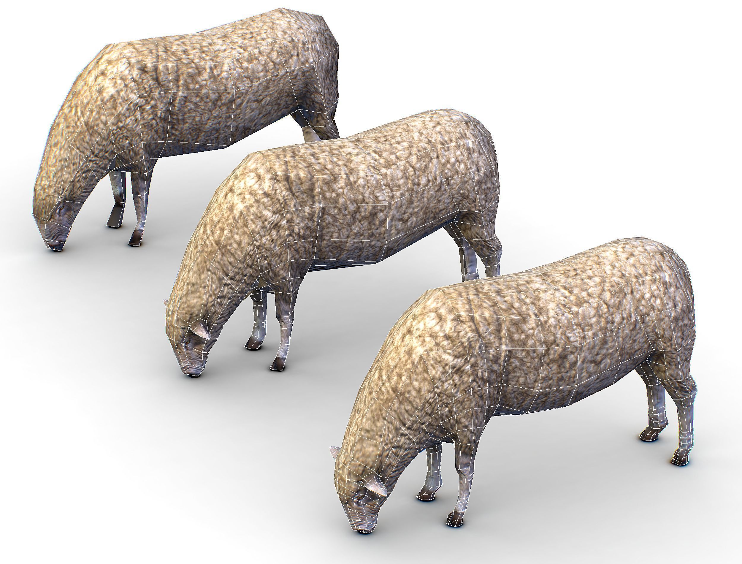 Low Poly Farm Sheep Low-poly 3D model_13