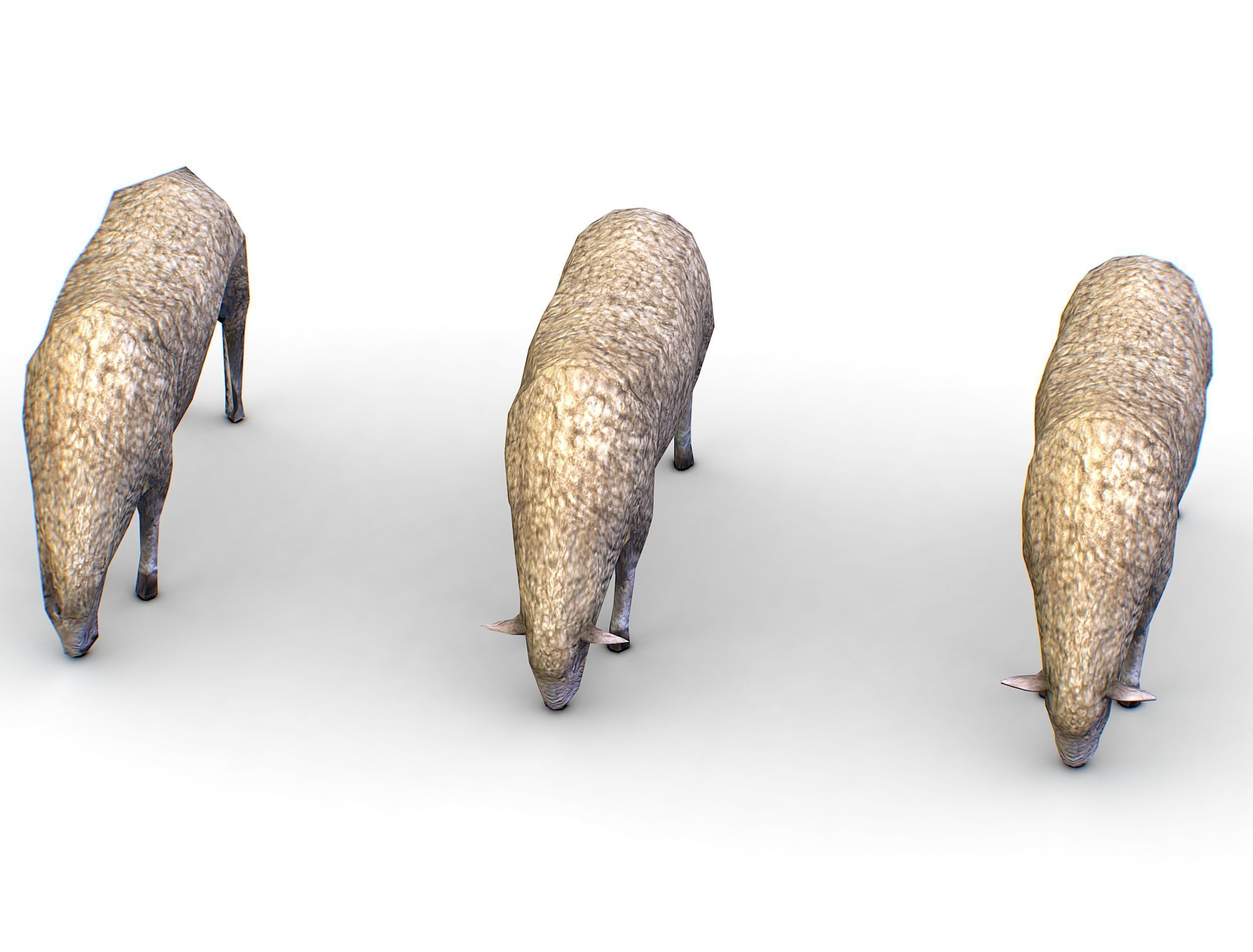 Low Poly Farm Sheep Low-poly 3D model_11