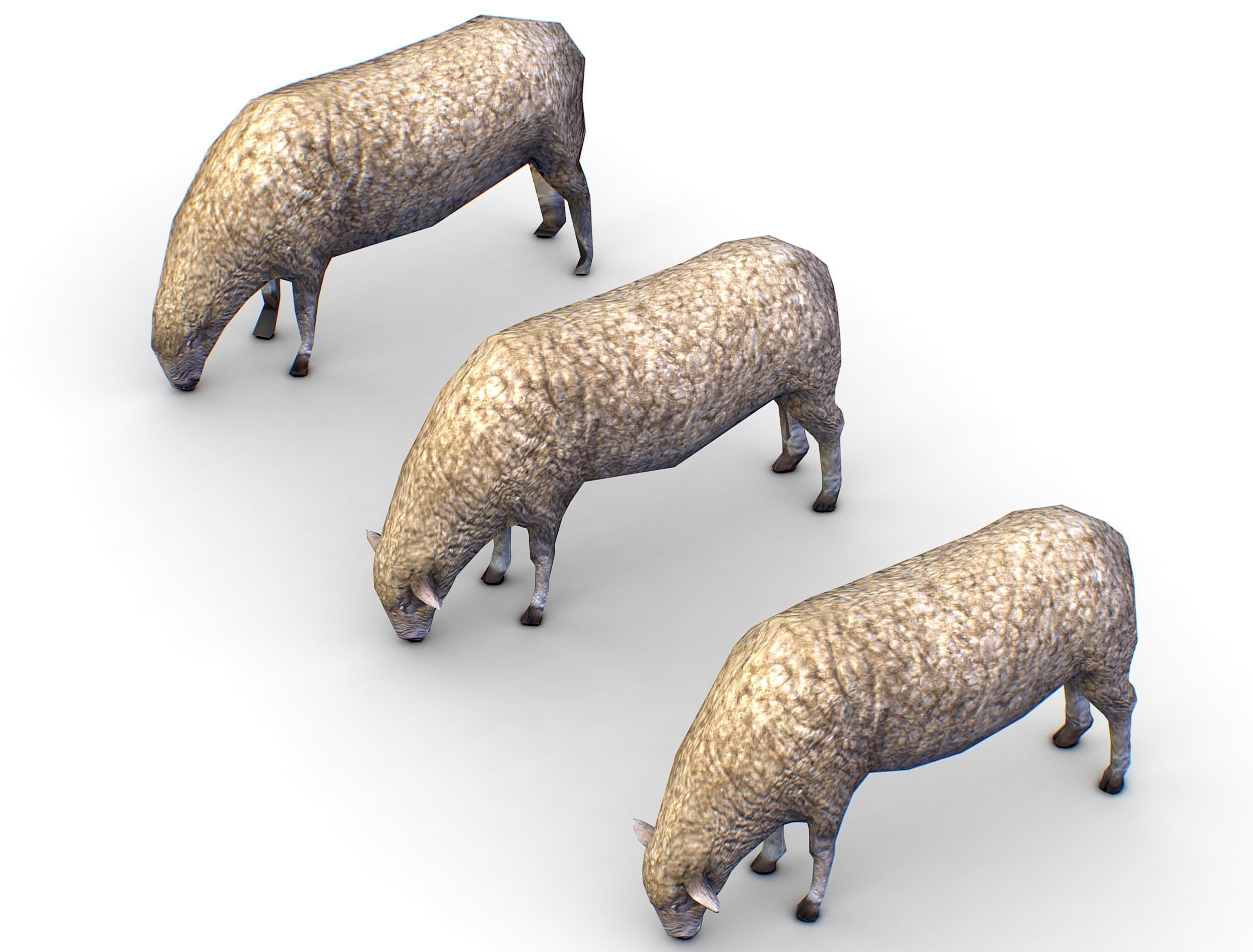 Low Poly Farm Sheep Low-poly 3D model_12
