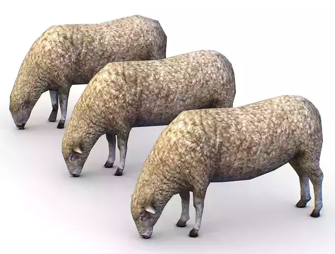Low Poly Farm Sheep Low-poly 3D model