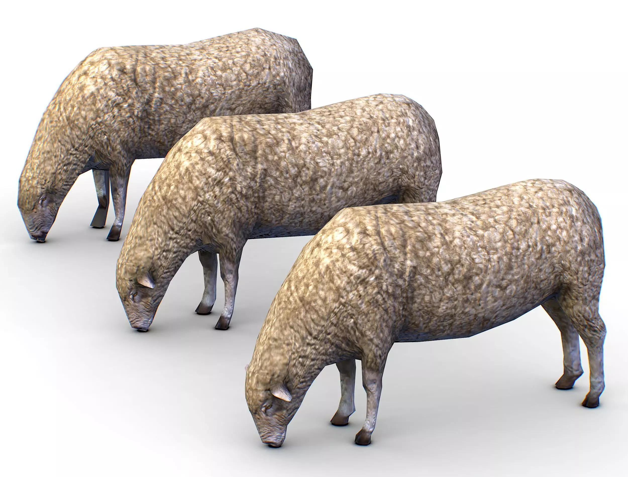 Low Poly Farm Sheep Low-poly 3D model_0