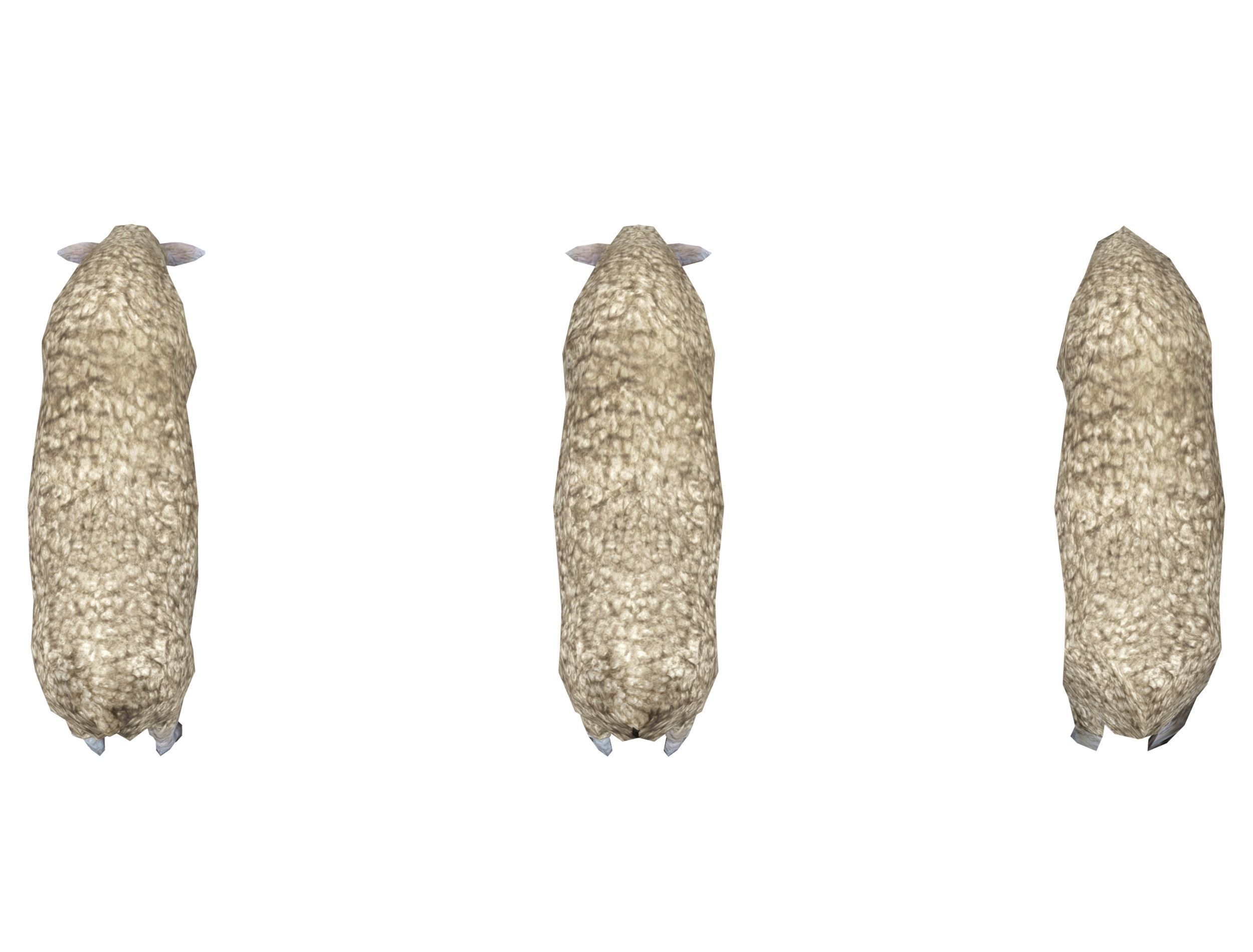 Low Poly Farm Sheep Low-poly 3D model_14