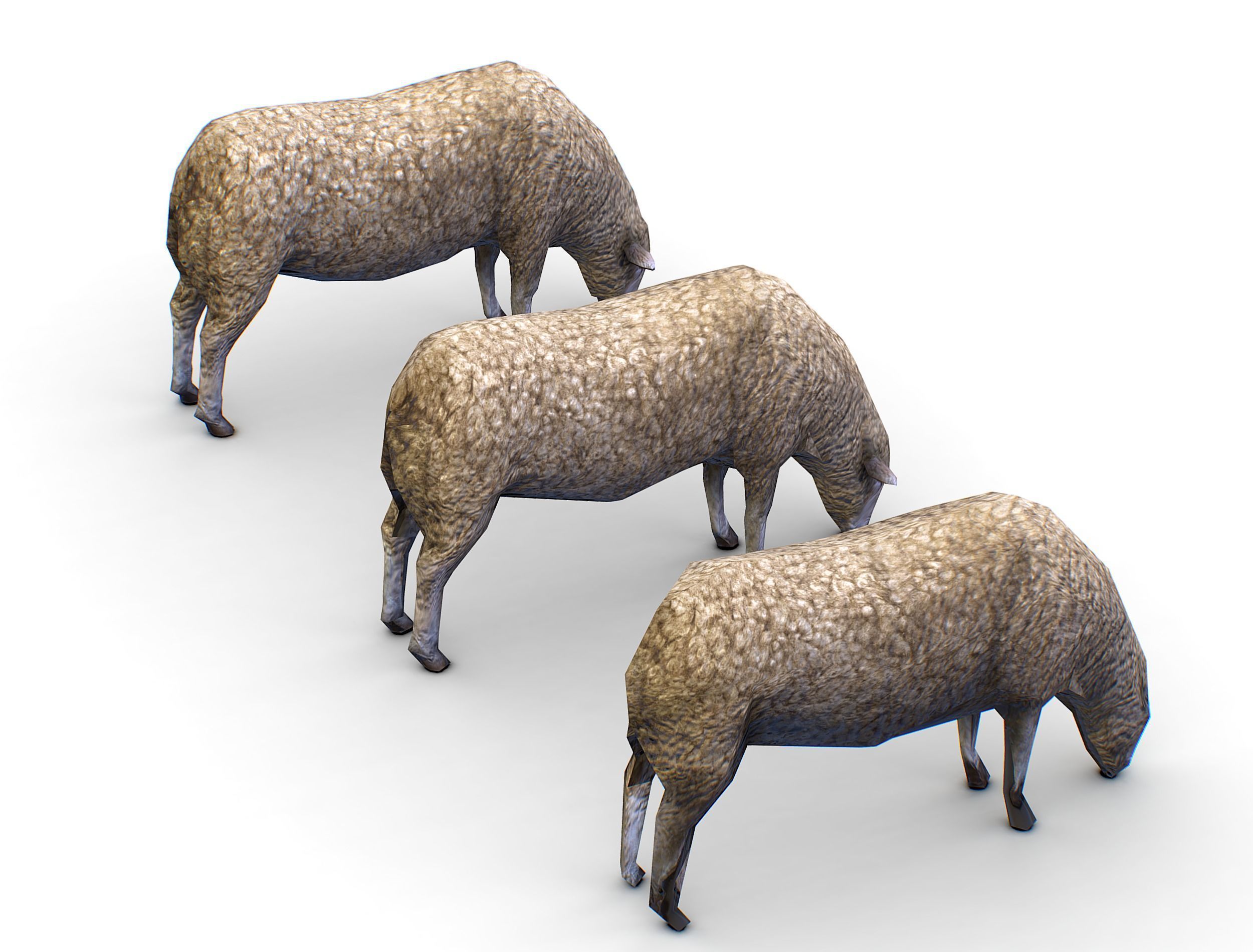Low Poly Farm Sheep Low-poly 3D model_7