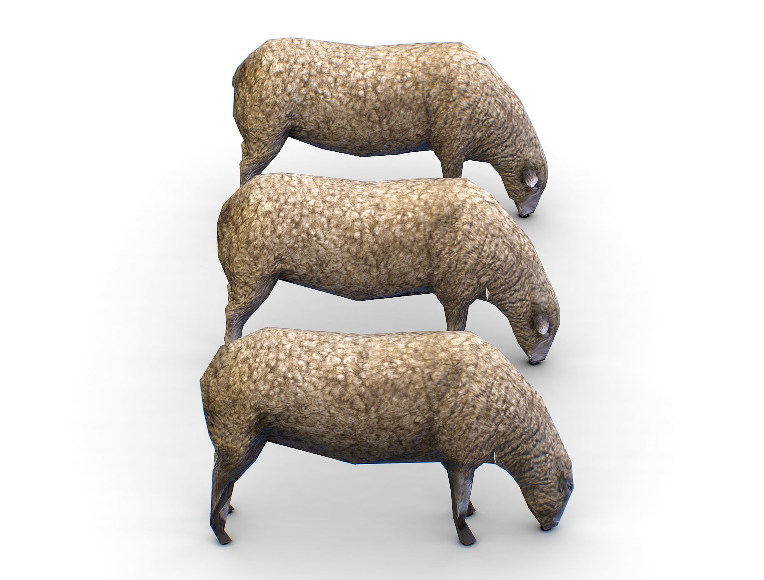Low Poly Farm Sheep Low-poly 3D model_8
