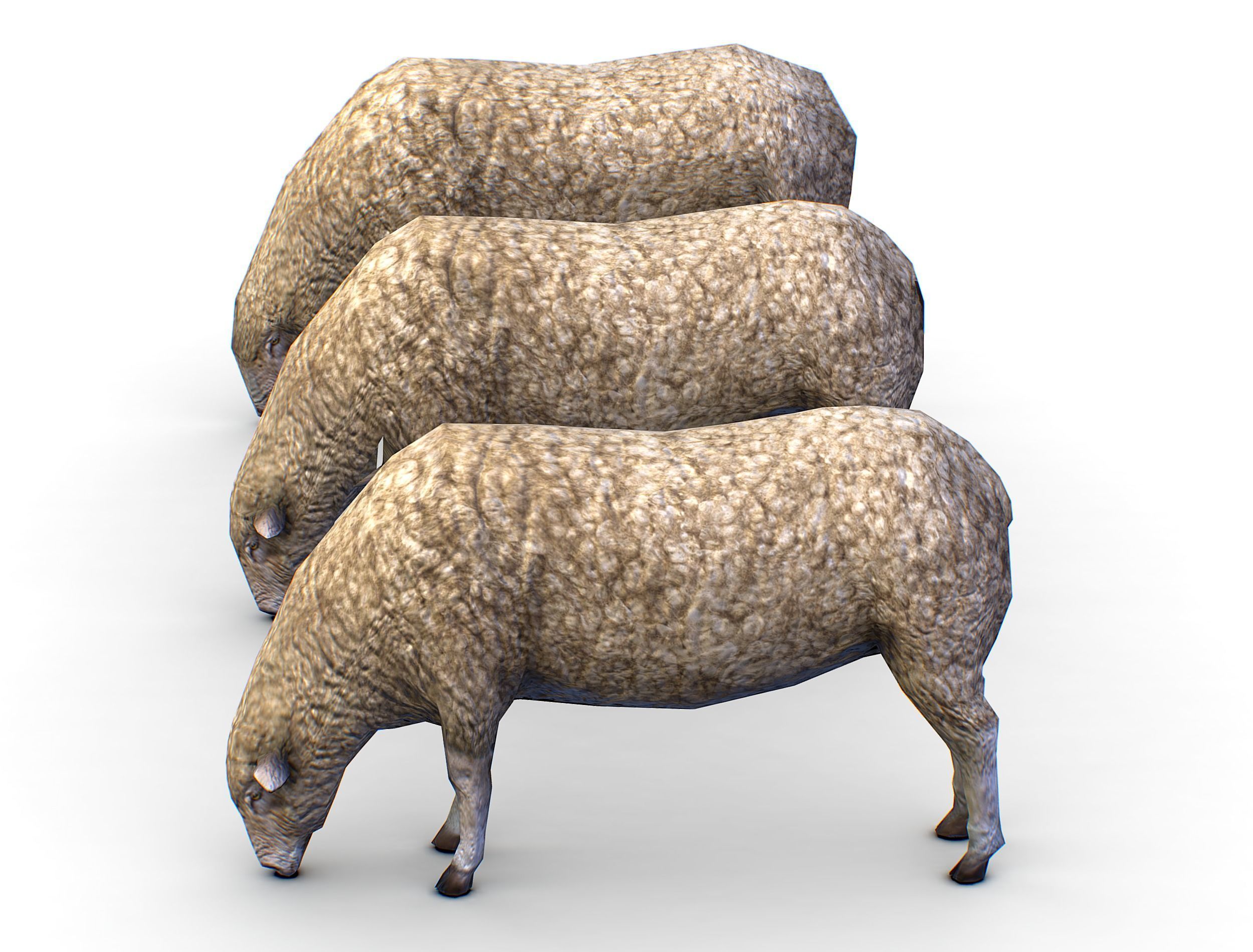 Low Poly Farm Sheep Low-poly 3D model_1