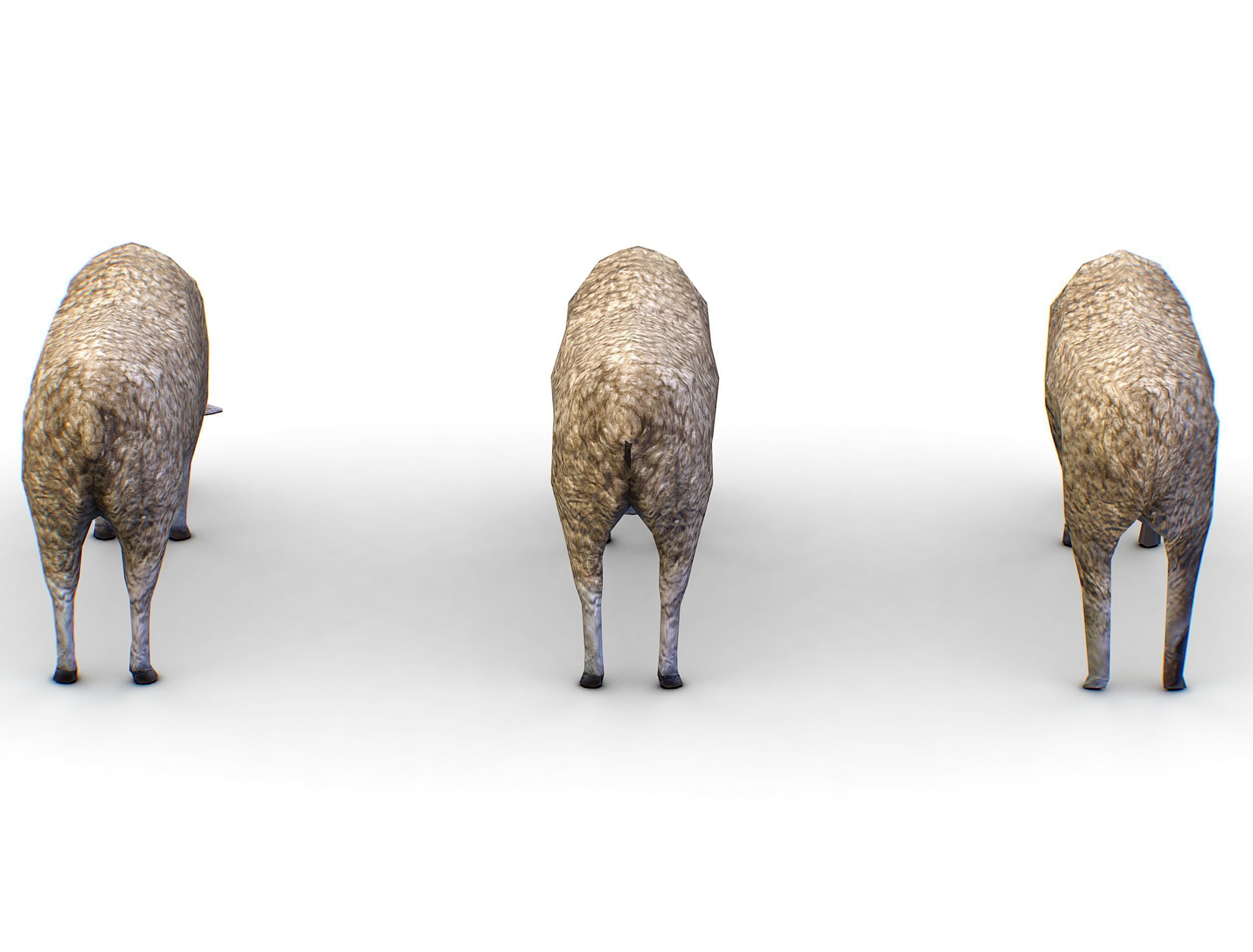 Low Poly Farm Sheep Low-poly 3D model_5