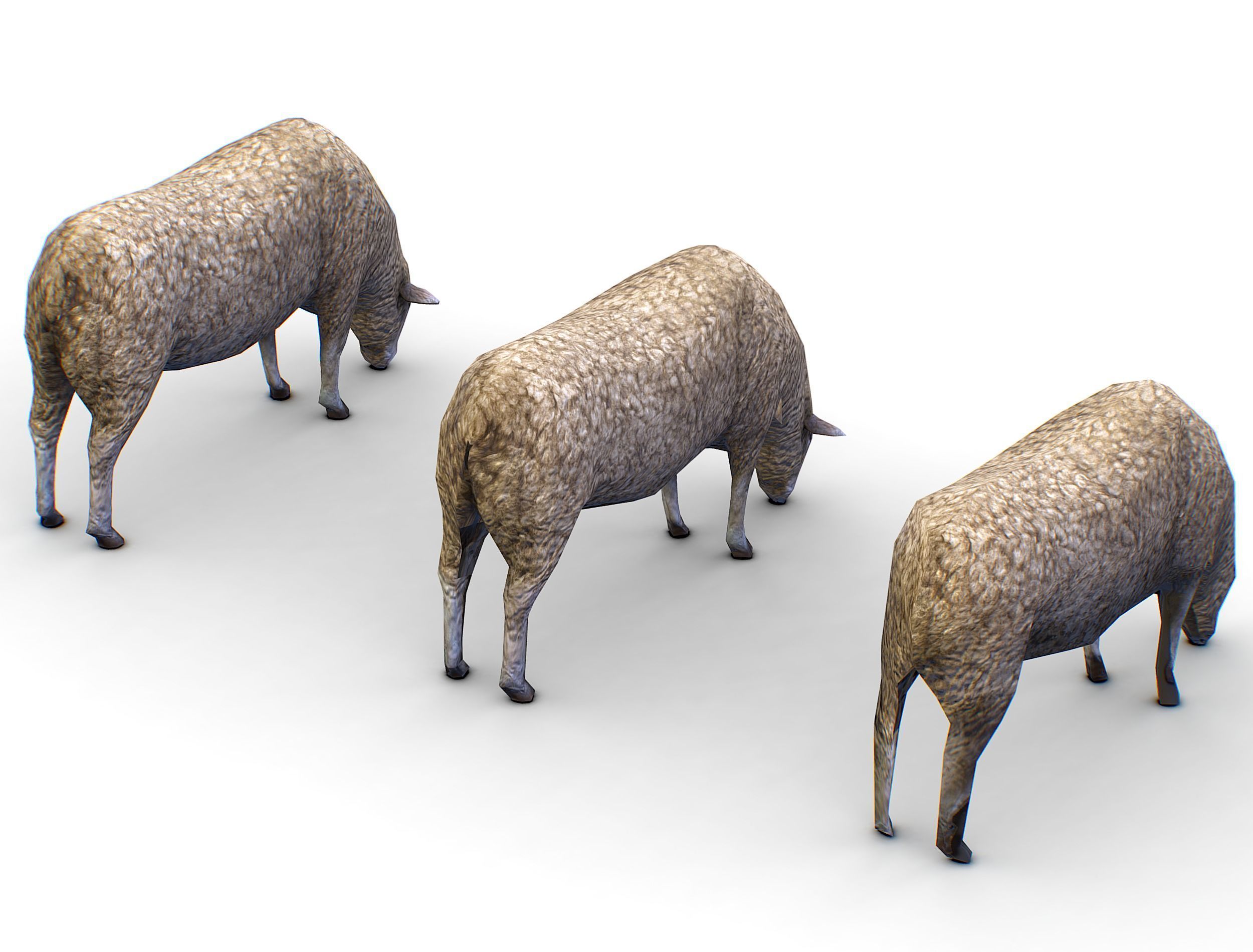 Low Poly Farm Sheep Low-poly 3D model_6