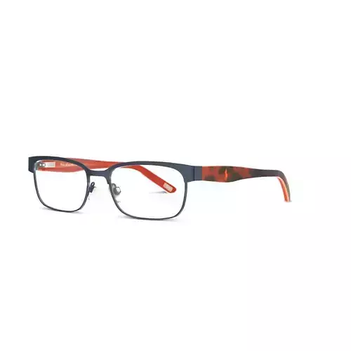 Polo Prep - PP8036 3134 Glasses