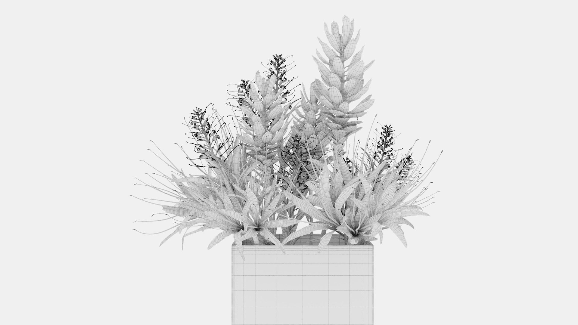 Plant 49 3D model_5