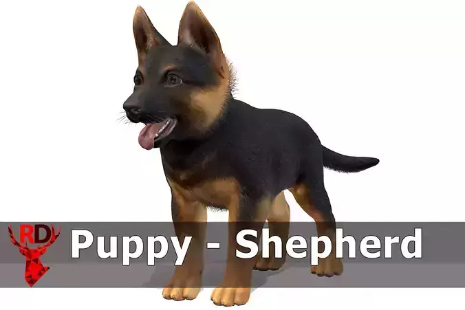 Puppy - Shephed Low-poly 3D model