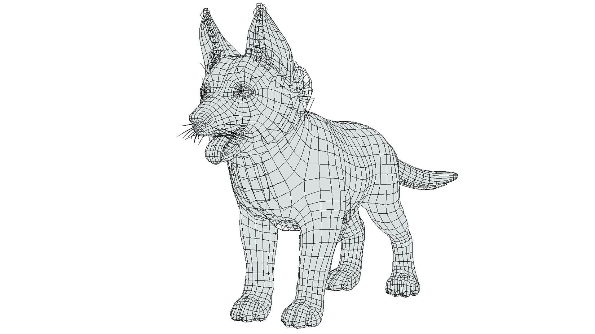 Puppy - Shephed Low-poly 3D model_9