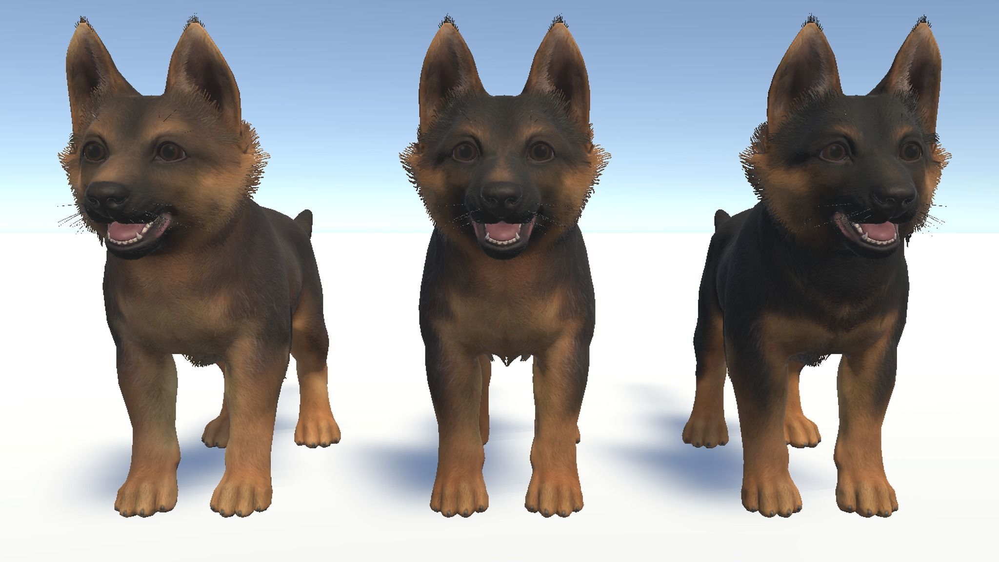 Puppy - Shephed Low-poly 3D model_15