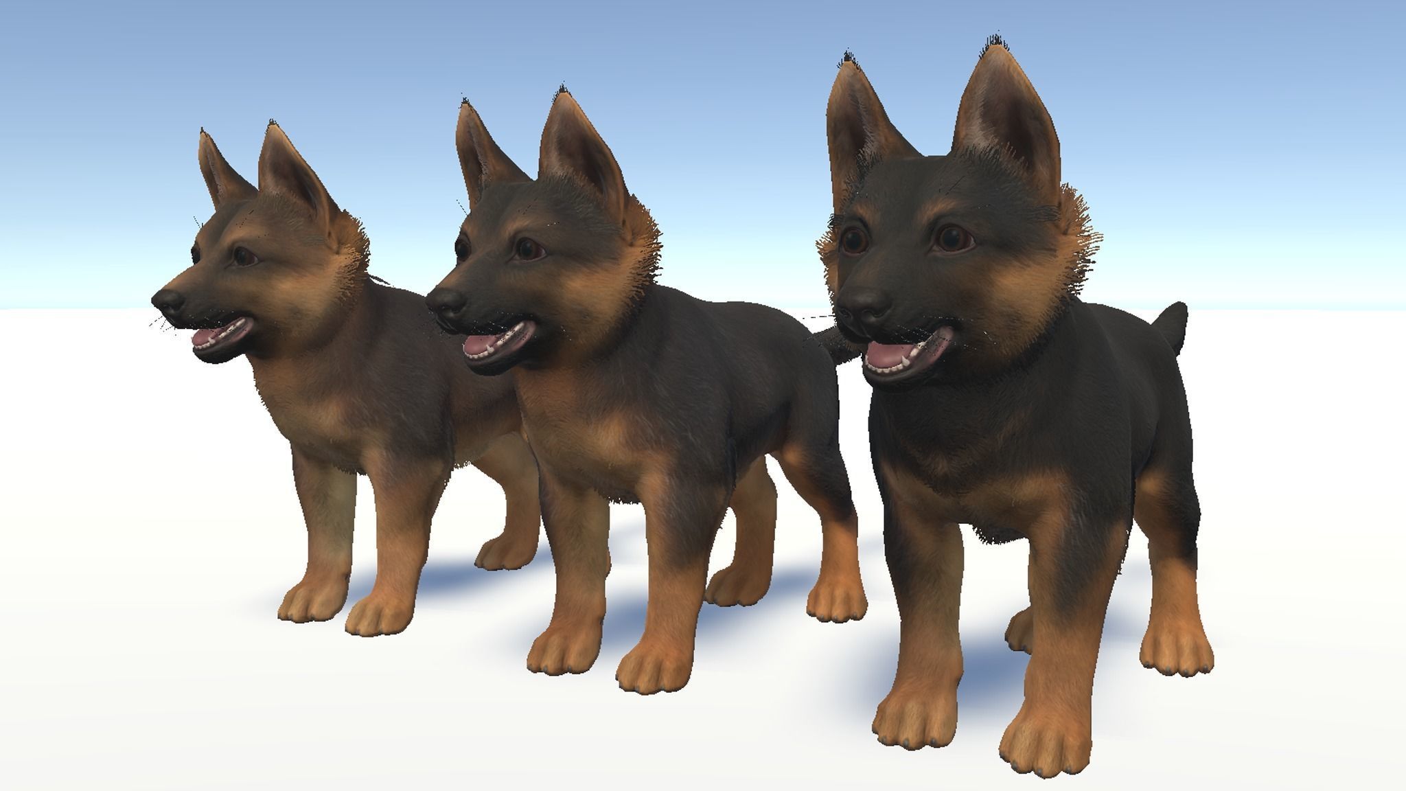 Puppy - Shephed Low-poly 3D model_18