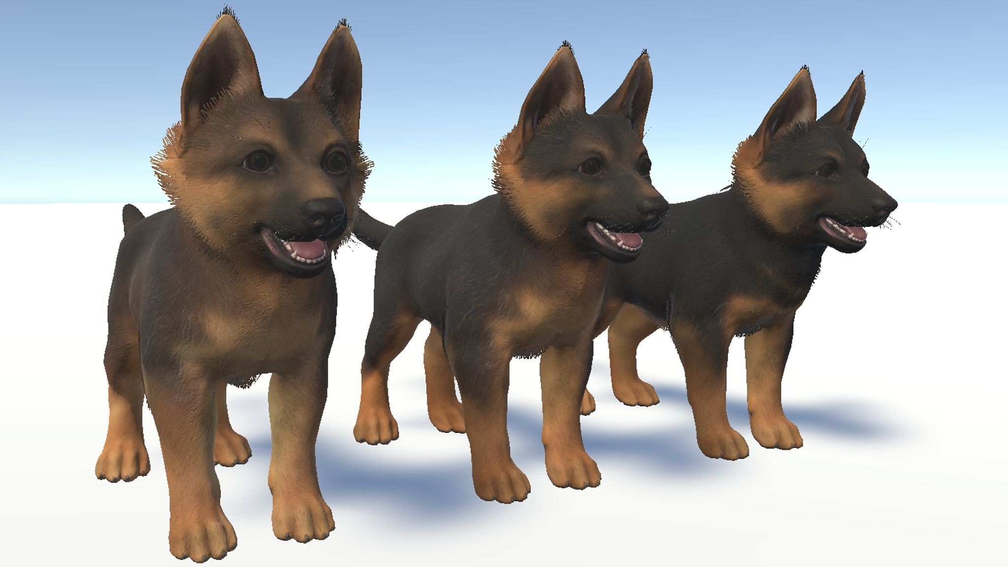 Puppy - Shephed Low-poly 3D model_16