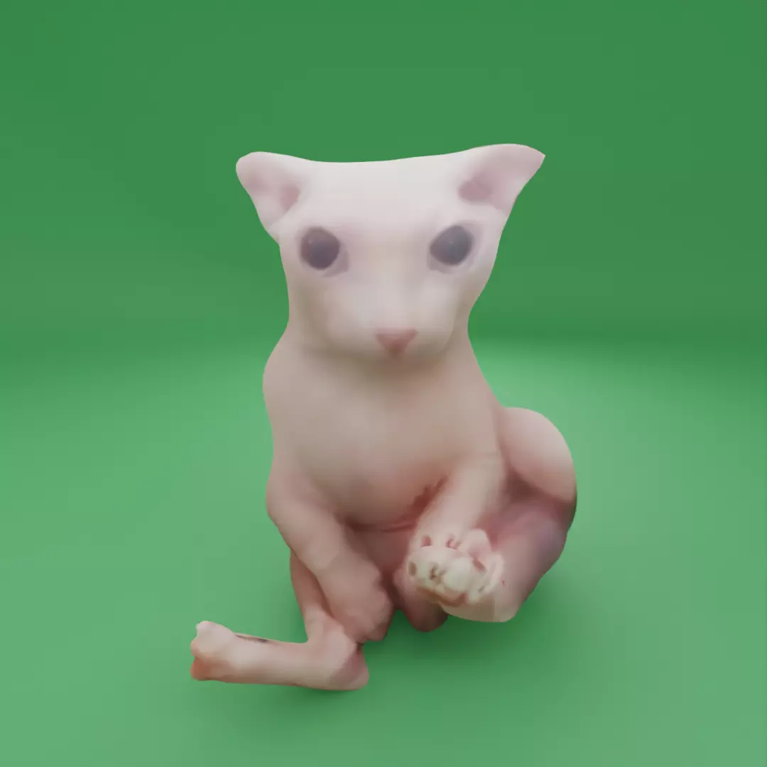 BINGUS 3D Model cat Free low-poly 3D model_0