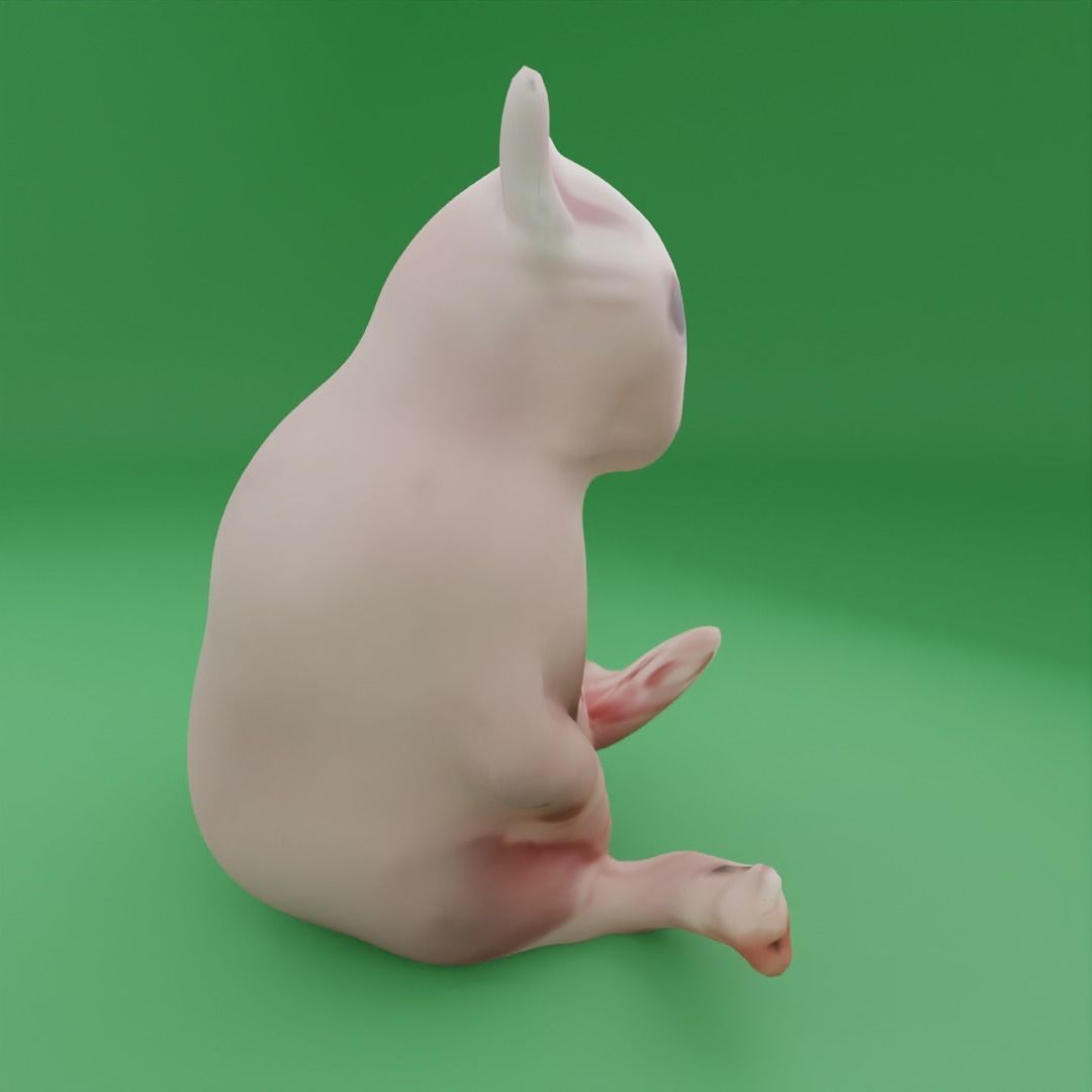 BINGUS 3D Model cat Free low-poly 3D model_1