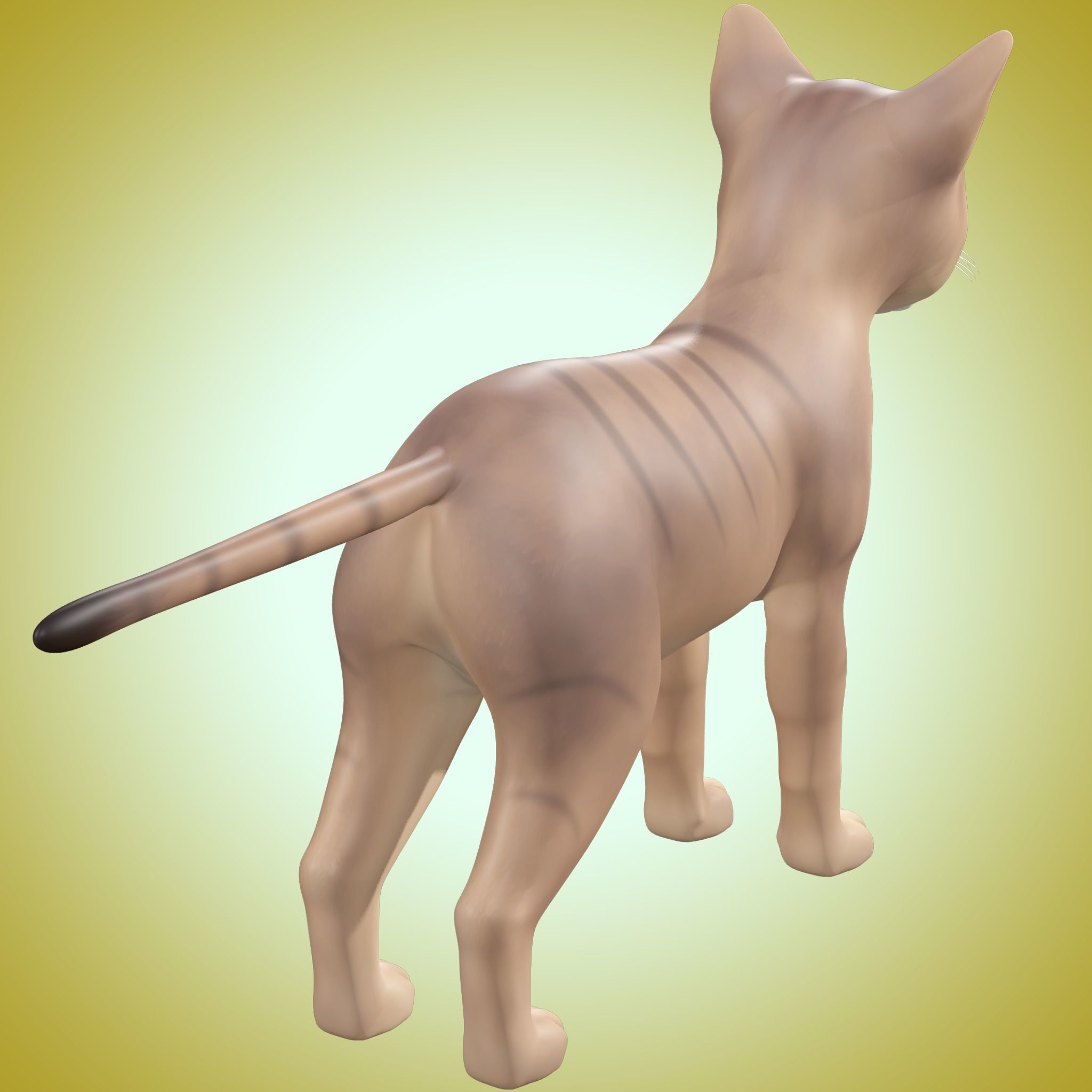 Cartoon Stylized Cat Low-poly 3D model_4