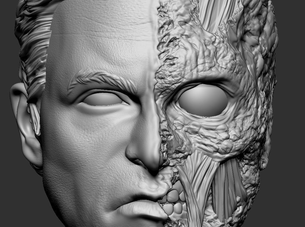 Harvey Dent Two-Face - Headsculpt for Action Figures 3D print model_9