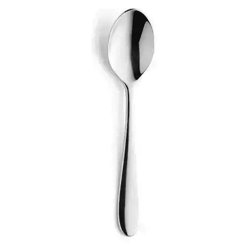 Basic Spoon