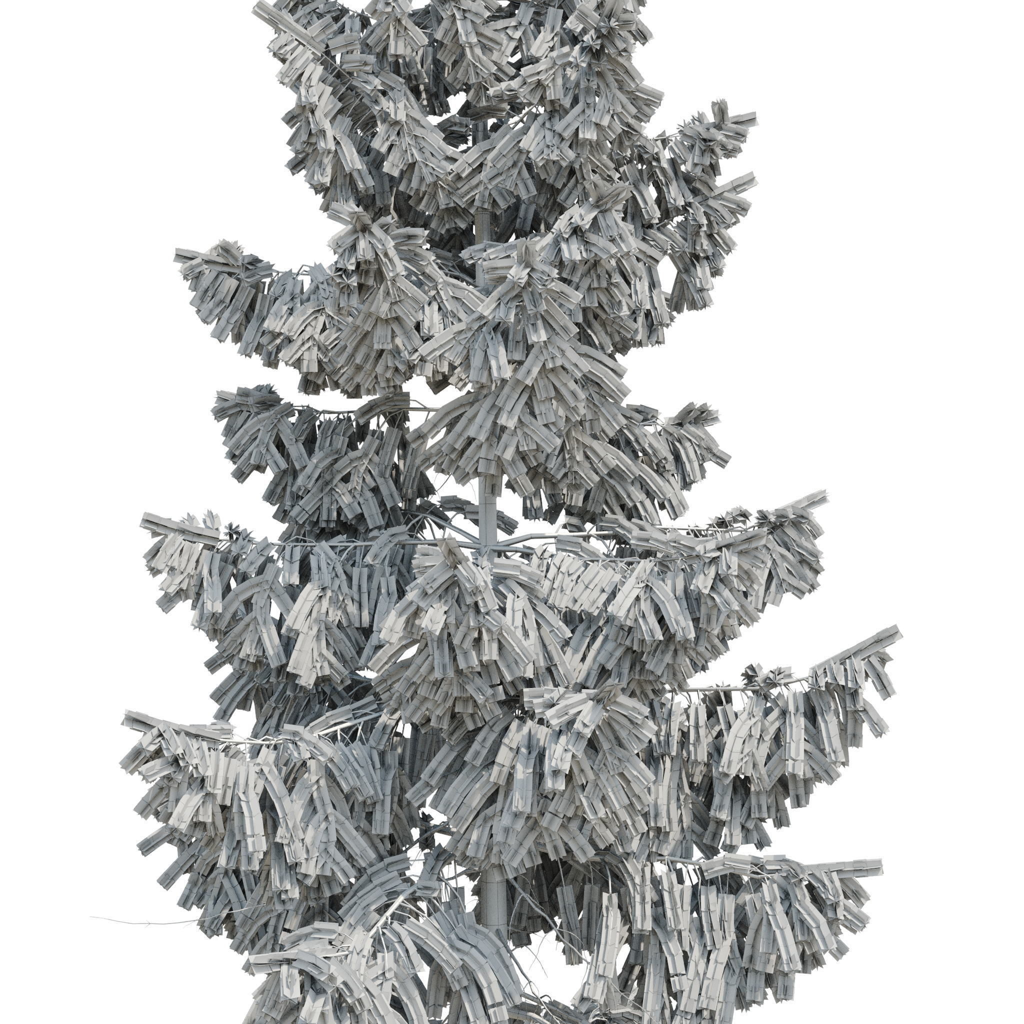 Spruce 6m 3D model_6