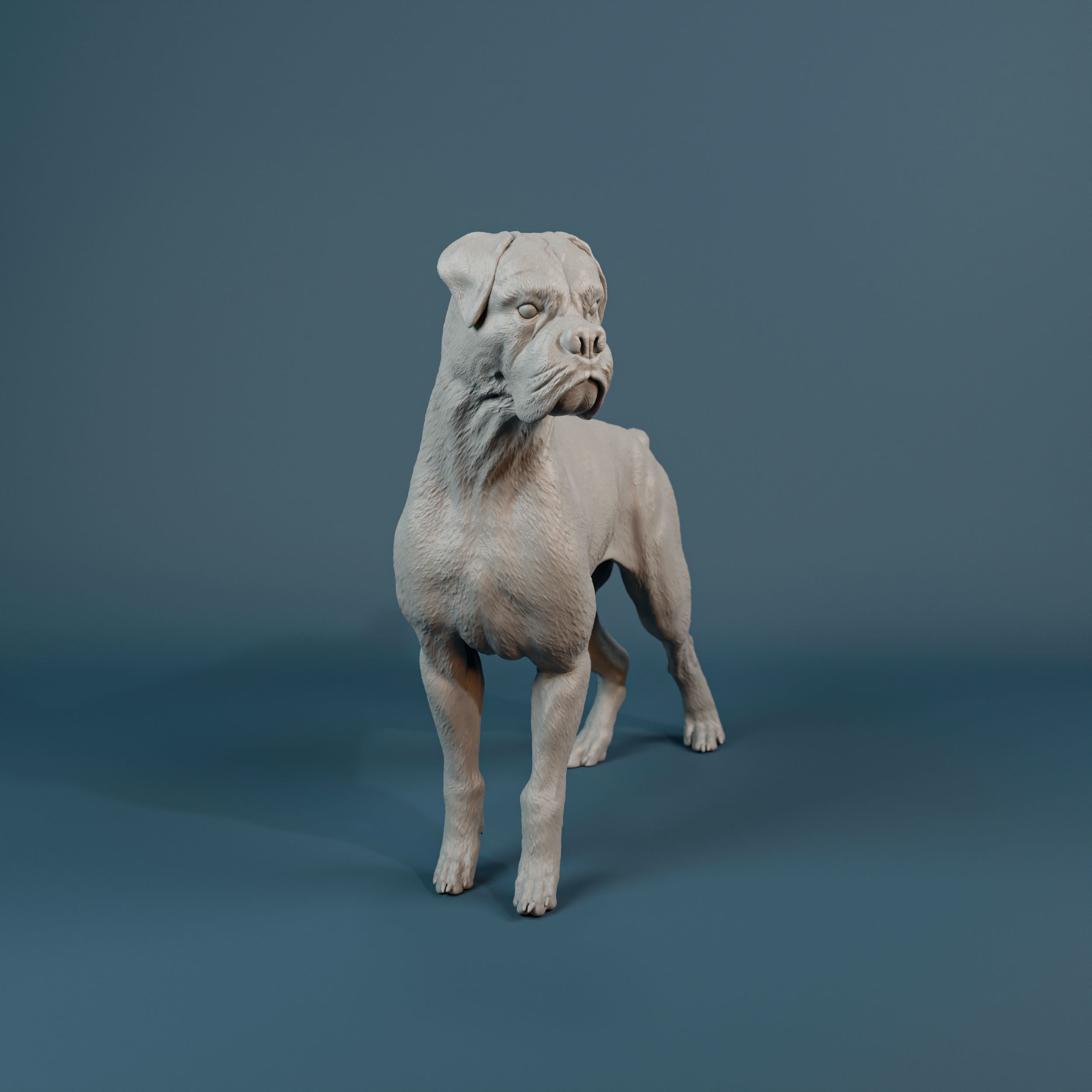 Boxer dog - pre supported 3D print model_2