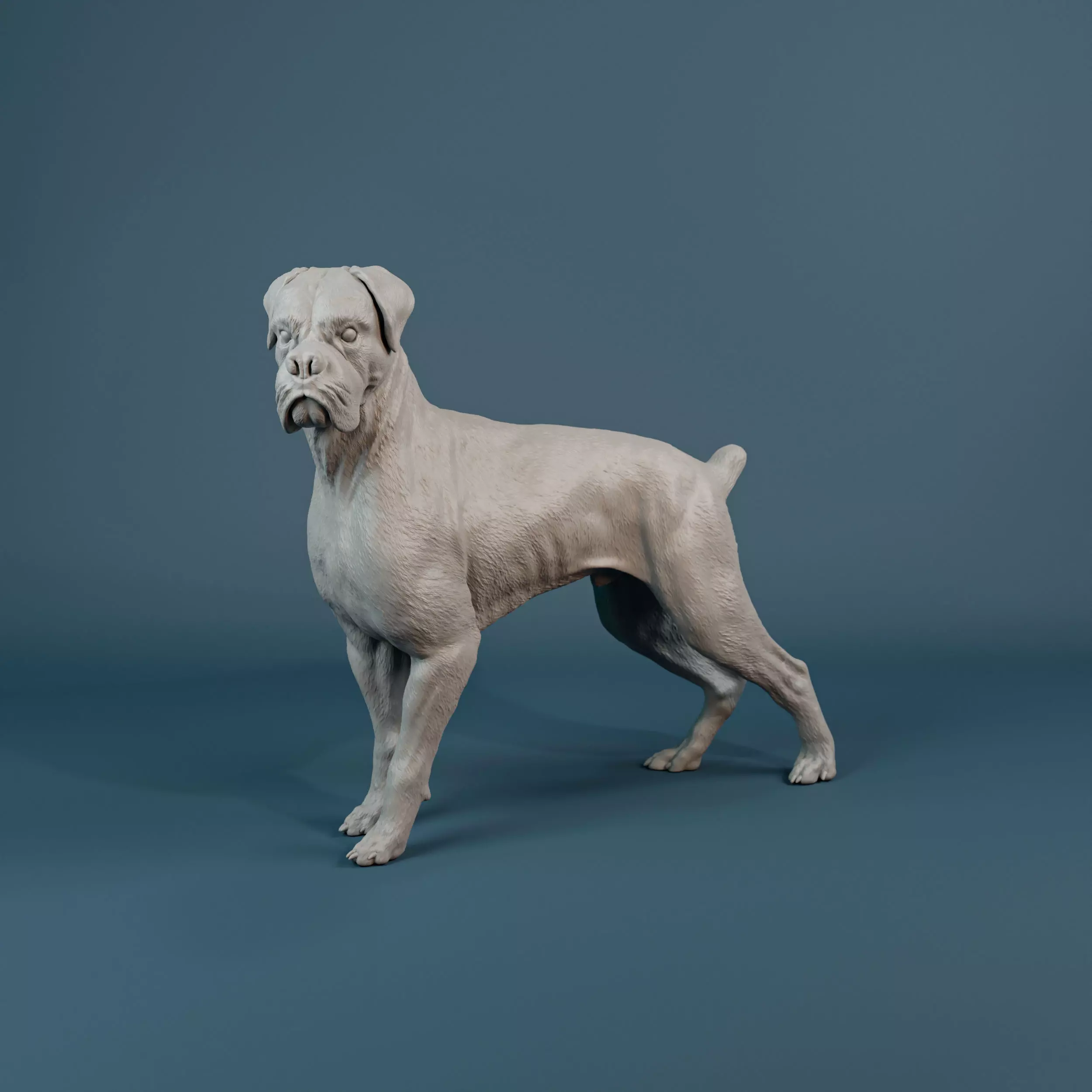 Boxer dog - pre supported 3D print model_0