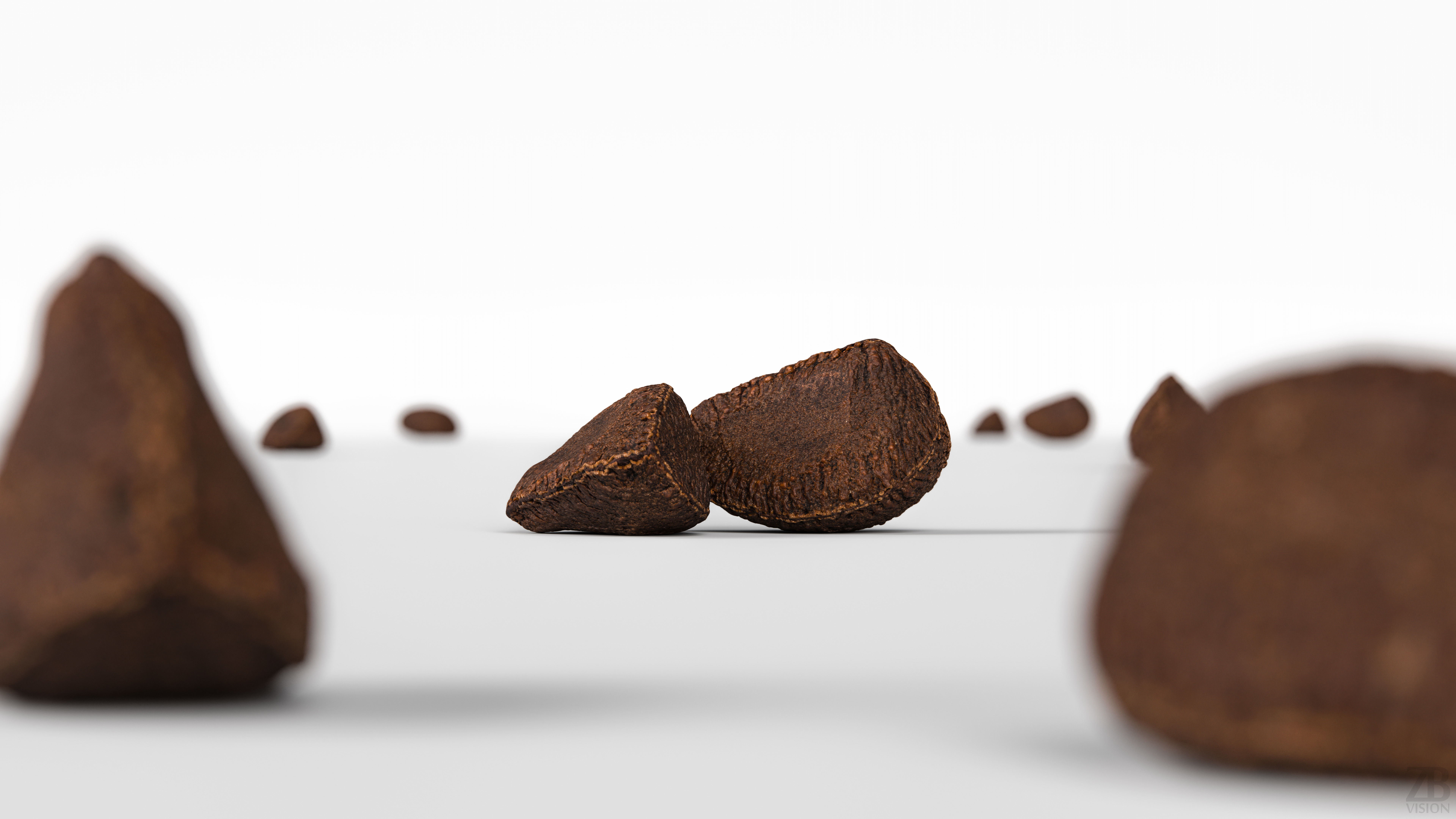 Brazil Nut 3D model_1