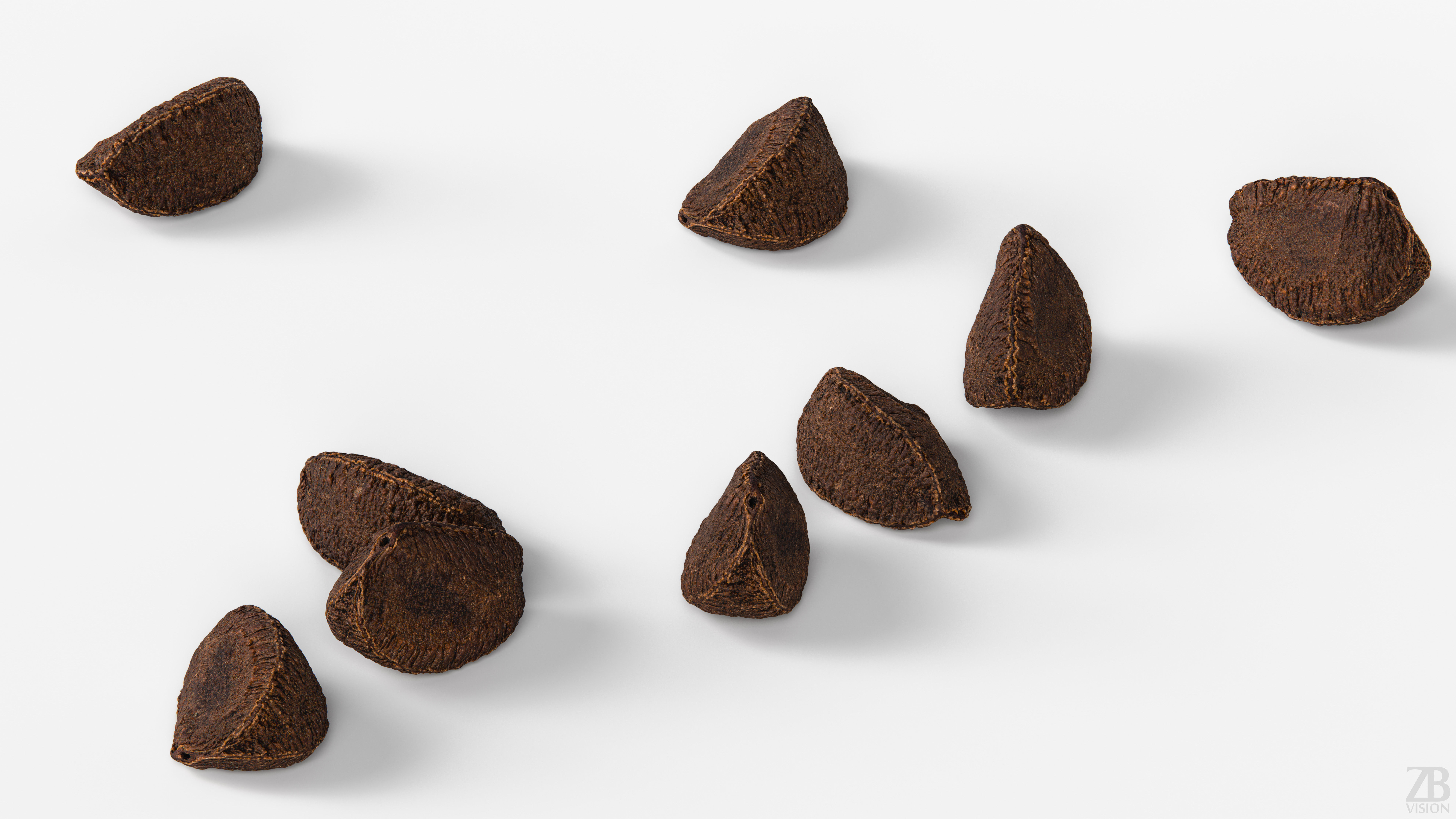 Brazil Nut 3D model_2