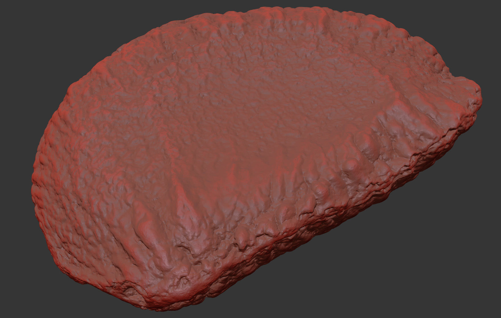 Brazil Nut 3D model_7