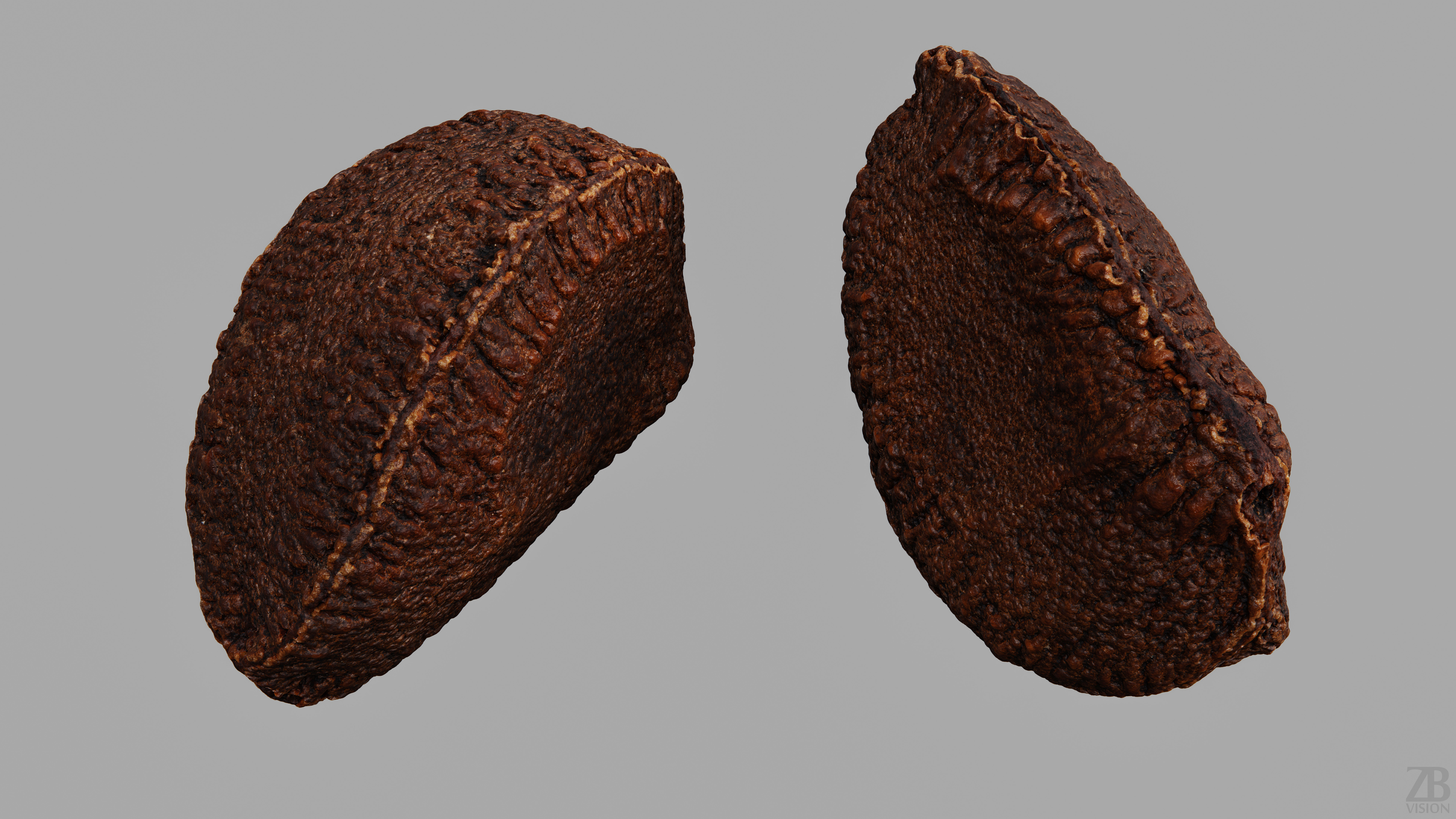 Brazil Nut 3D model_9