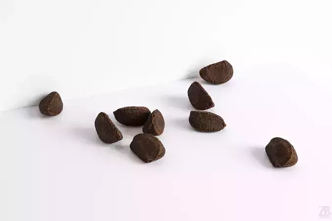 Brazil Nut 3D model