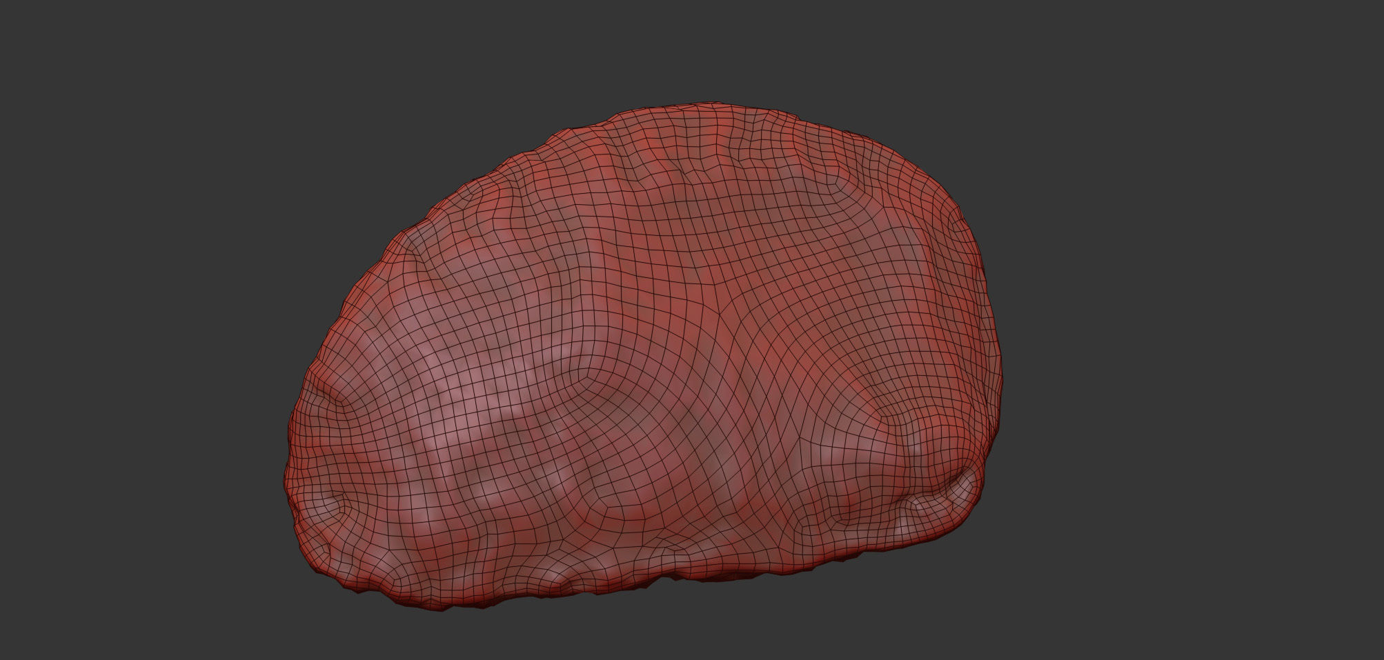 Brazil Nut 3D model_6