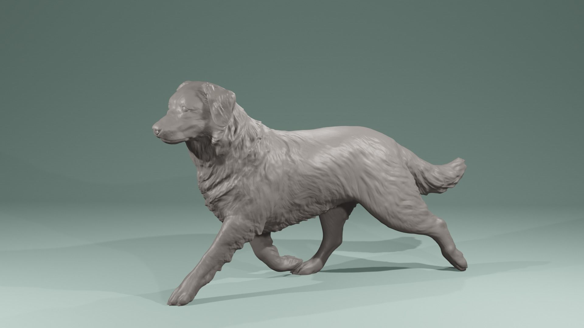 Realistic Australian Shepherd dog walking trotting   3D print model_1