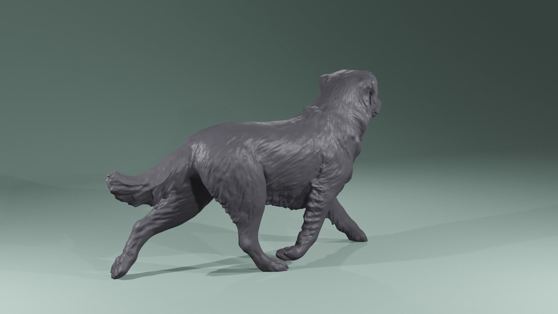 Realistic Australian Shepherd dog walking trotting   3D print model_3