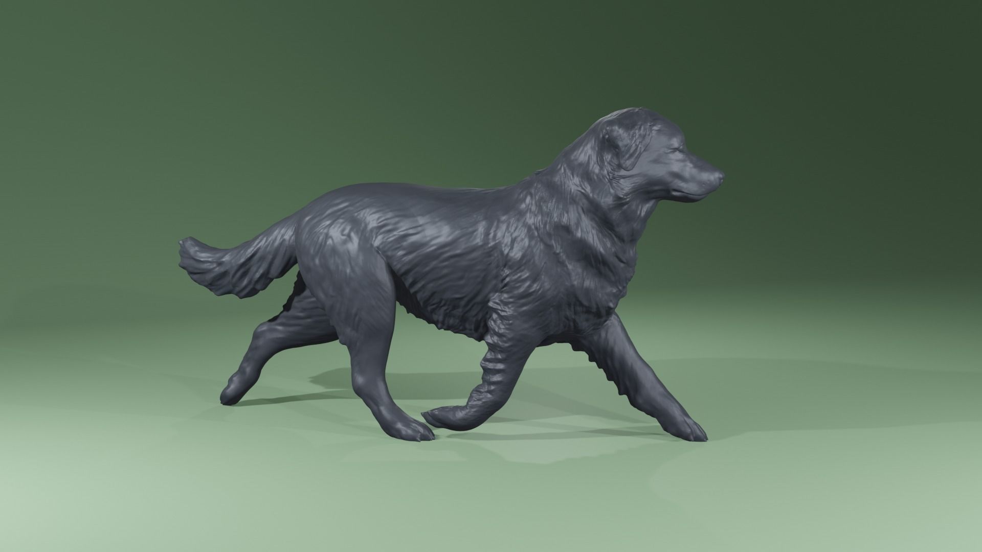 Realistic Australian Shepherd dog walking trotting   3D print model_8