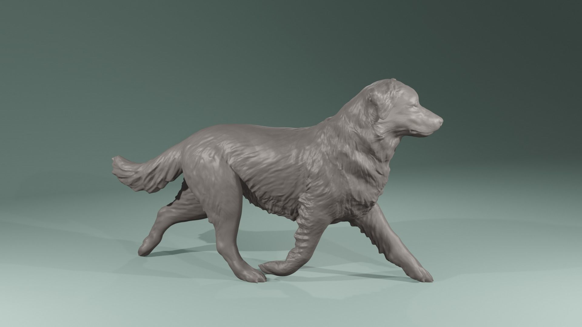 Realistic Australian Shepherd dog walking trotting   3D print model_2