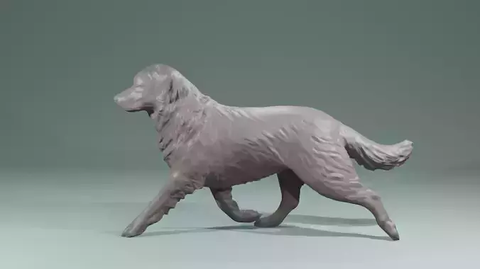 Realistic Australian Shepherd dog walking trotting   3D print model
