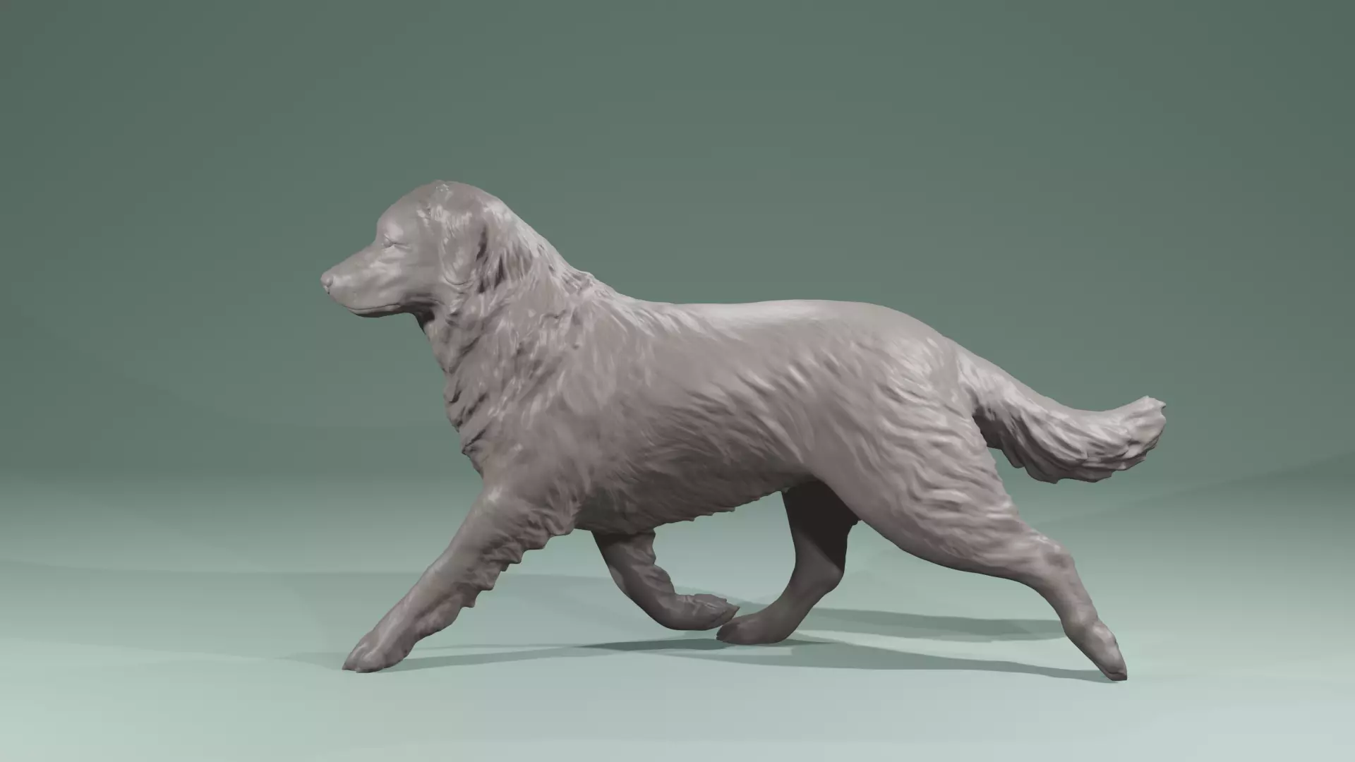 Realistic Australian Shepherd dog walking trotting   3D print model_0
