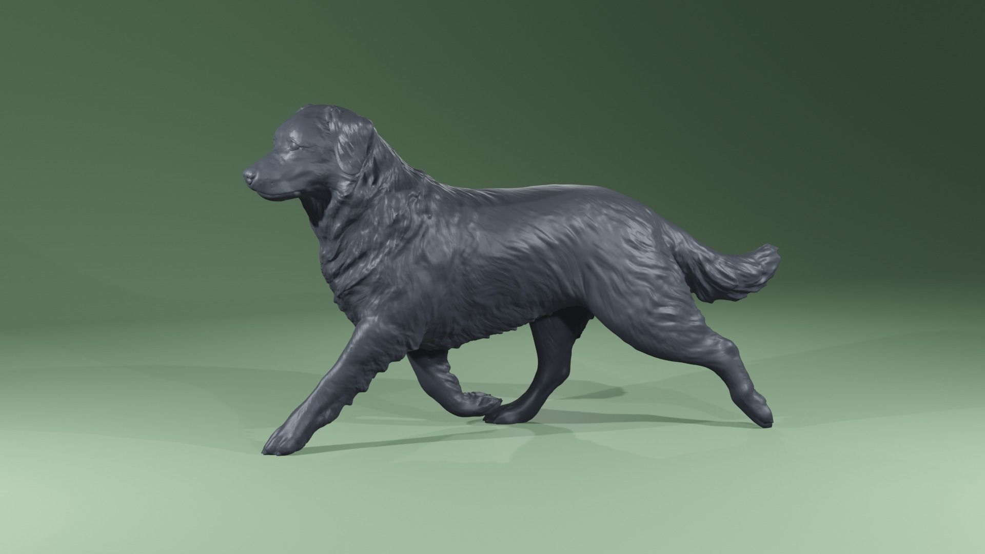Realistic Australian Shepherd dog walking trotting   3D print model_7