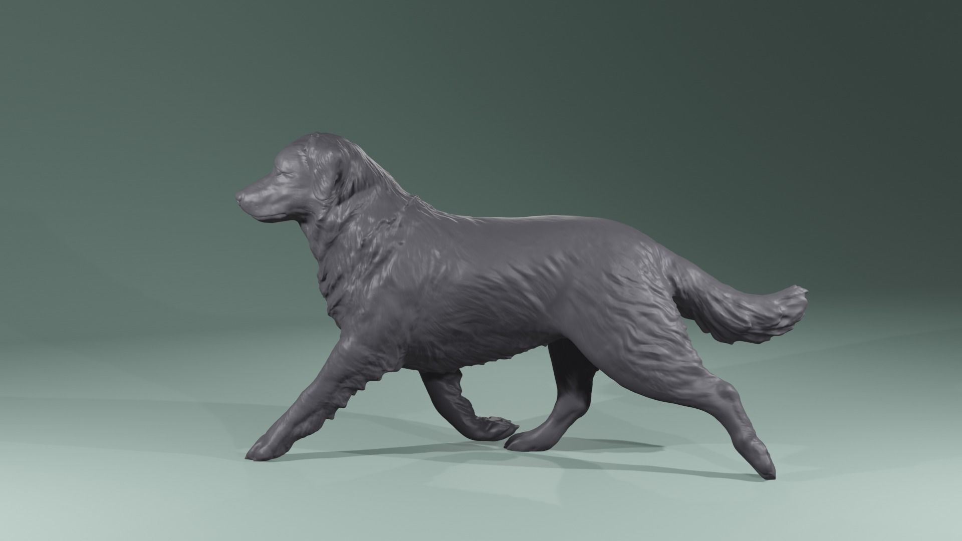 Realistic Australian Shepherd dog walking trotting   3D print model_5