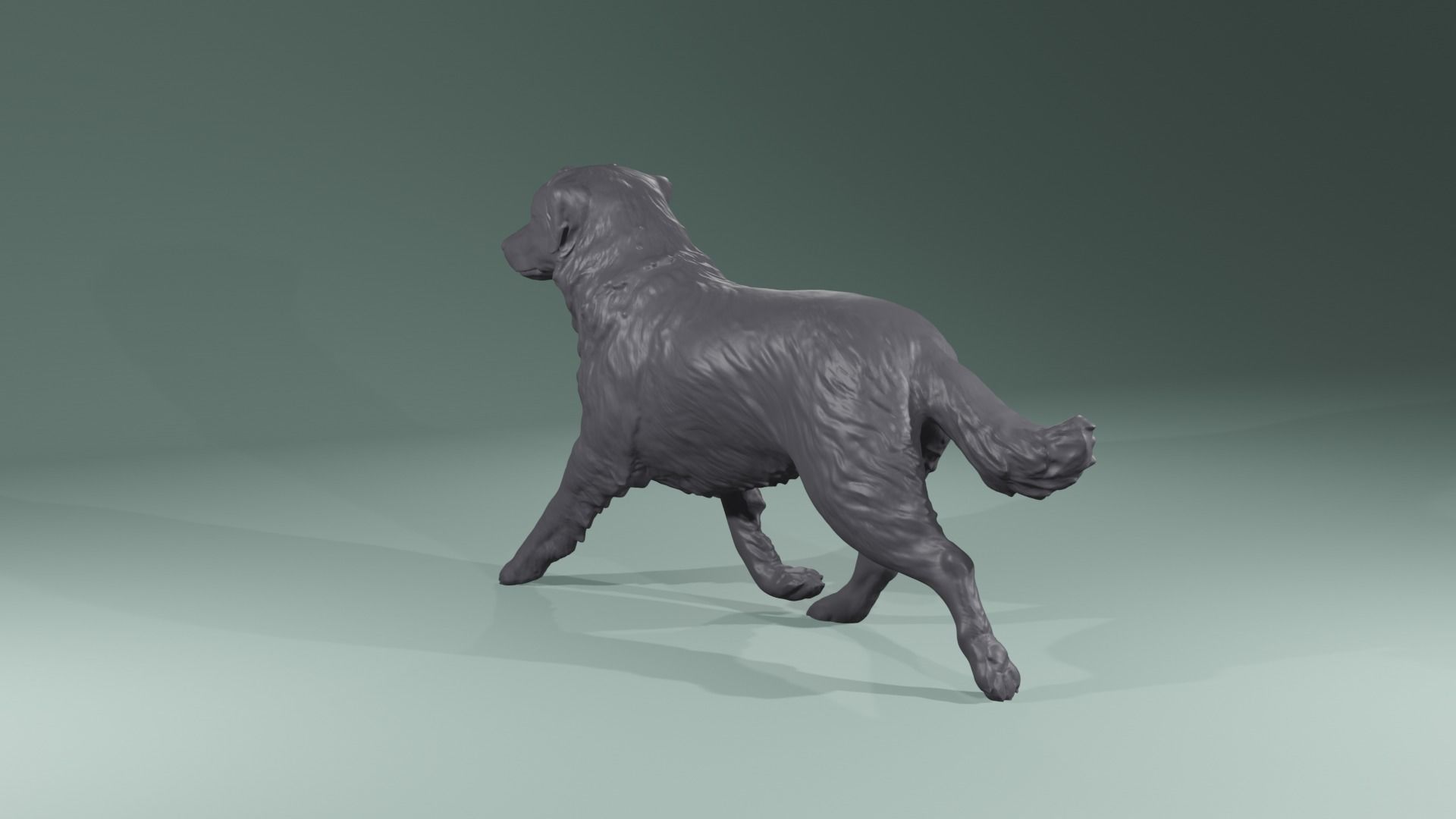 Realistic Australian Shepherd dog walking trotting   3D print model_4