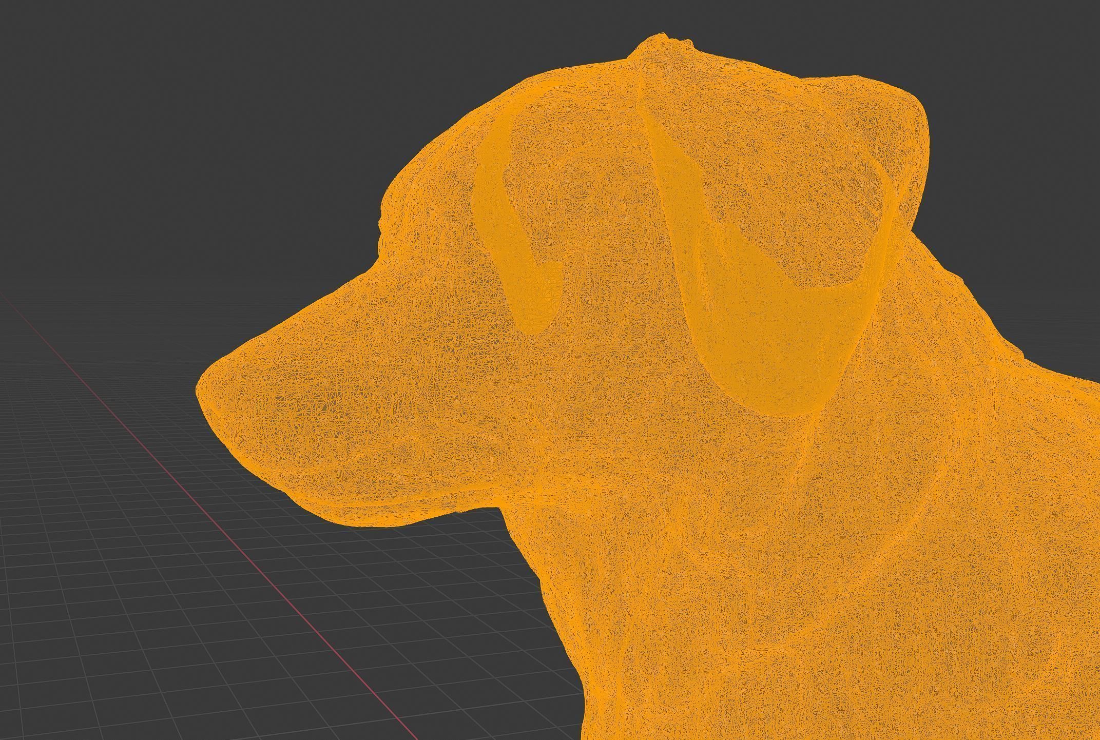 Realistic Australian Shepherd dog walking trotting   3D print model_10