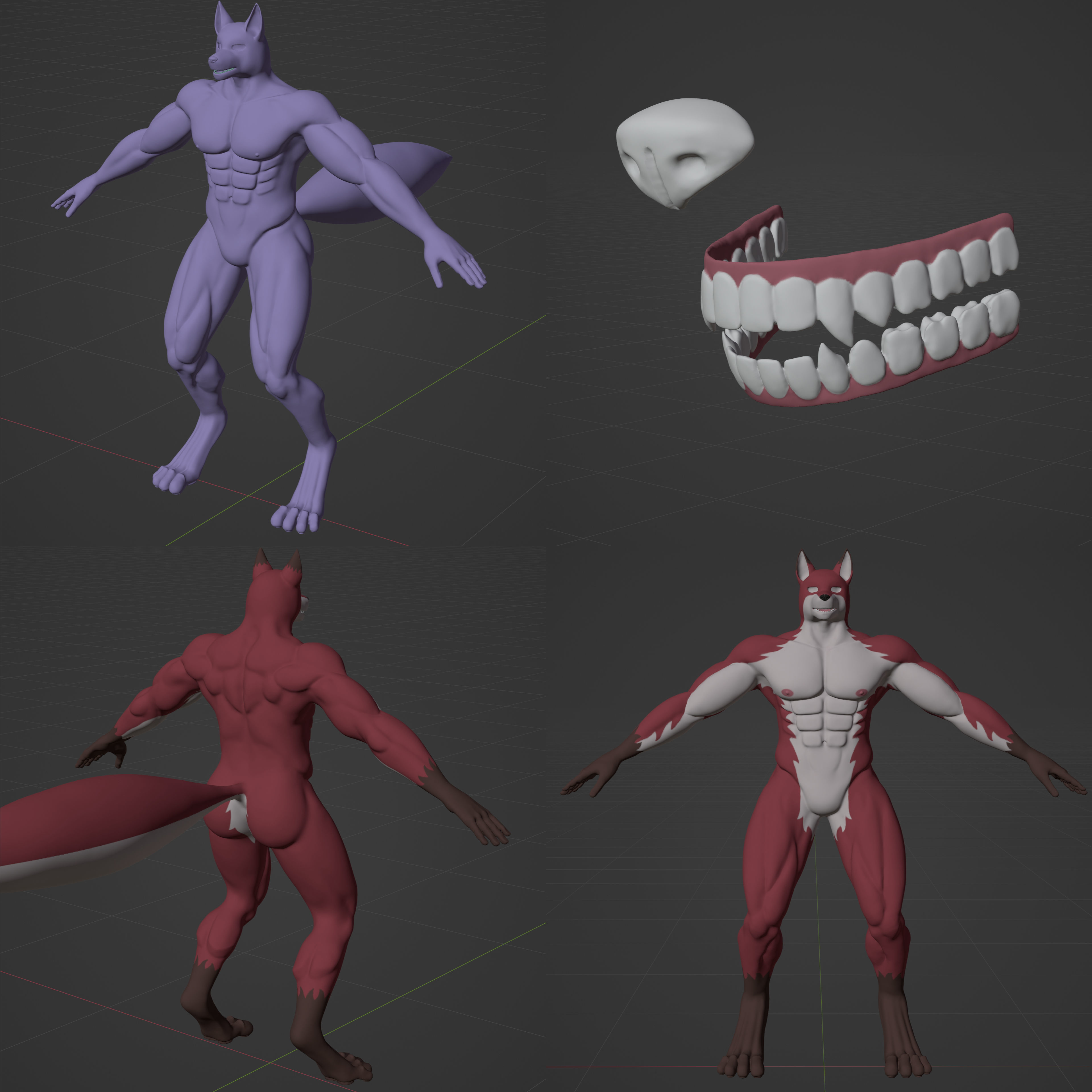 Diederich Olsen from Knights College - Furry Character Low-poly 3D model_15
