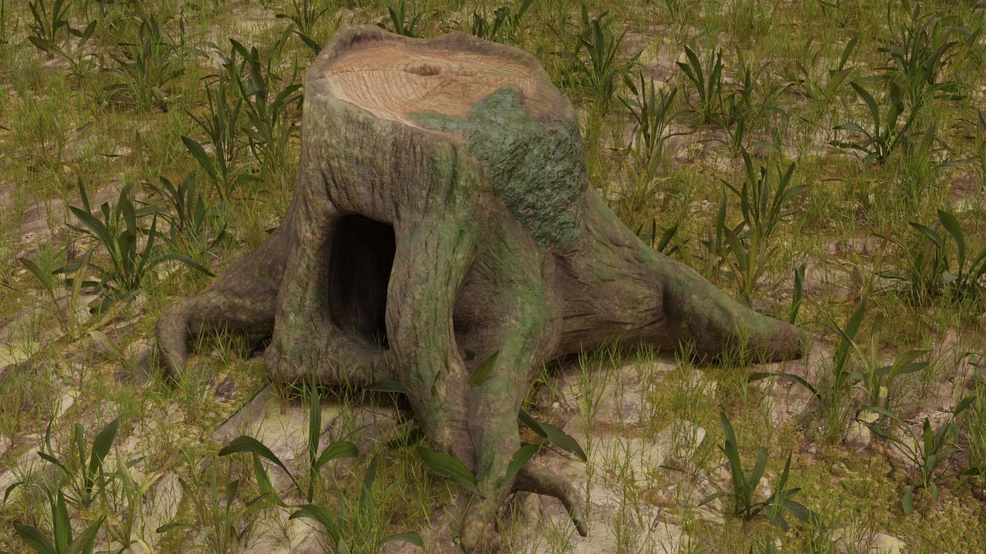 Old Stump Low-poly 3D model_4