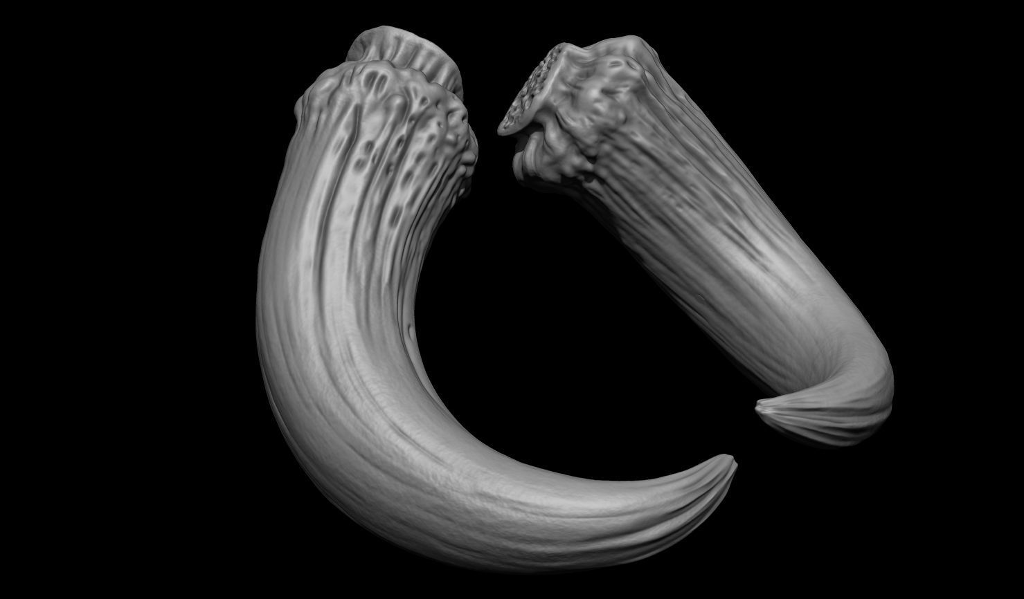 3D PRINTABLE MYTHOSAUR SKULL HORNS SORGAN FROG THE MANDALORIAN 3D print model_38