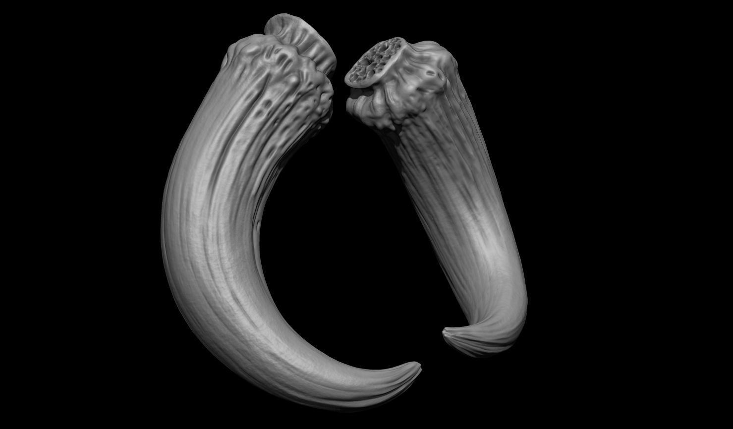 3D PRINTABLE MYTHOSAUR SKULL HORNS SORGAN FROG THE MANDALORIAN 3D print model_43