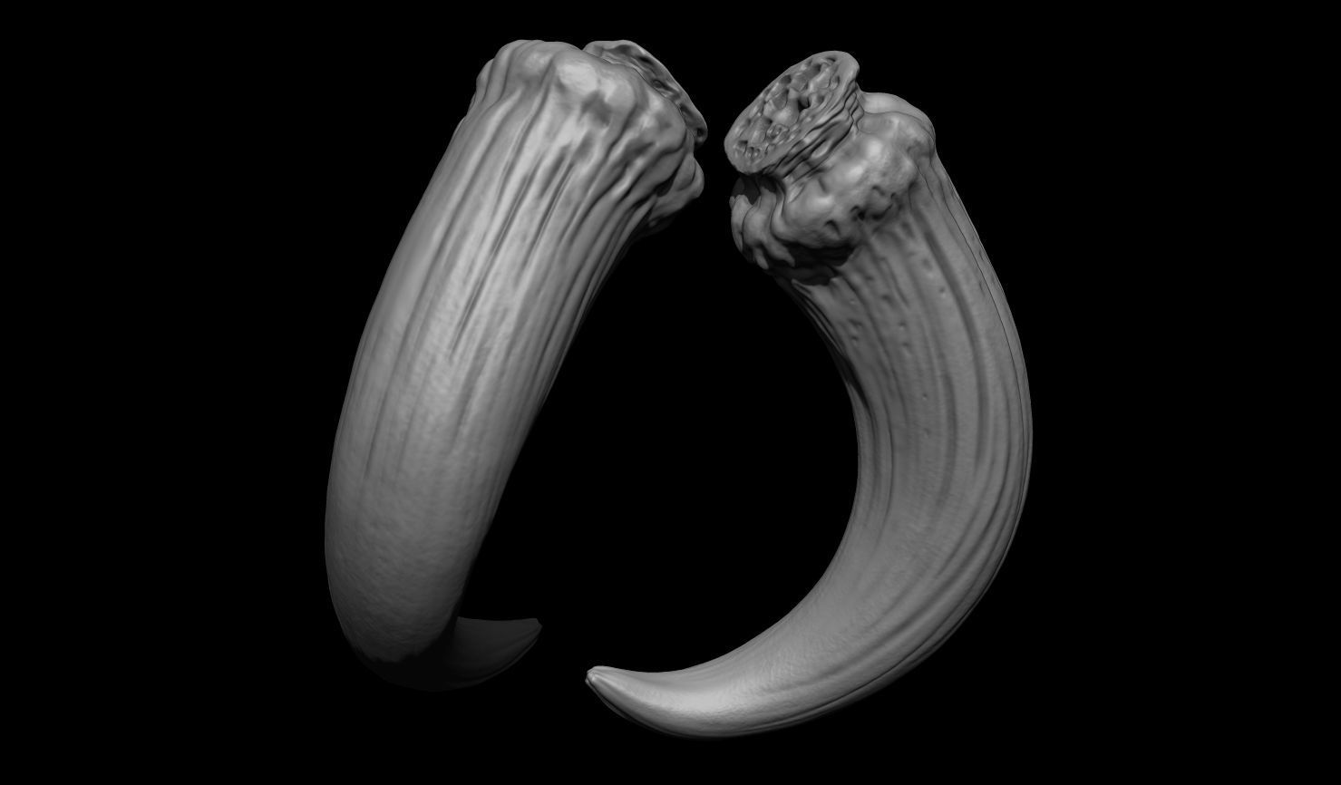 3D PRINTABLE MYTHOSAUR SKULL HORNS SORGAN FROG THE MANDALORIAN 3D print model_45