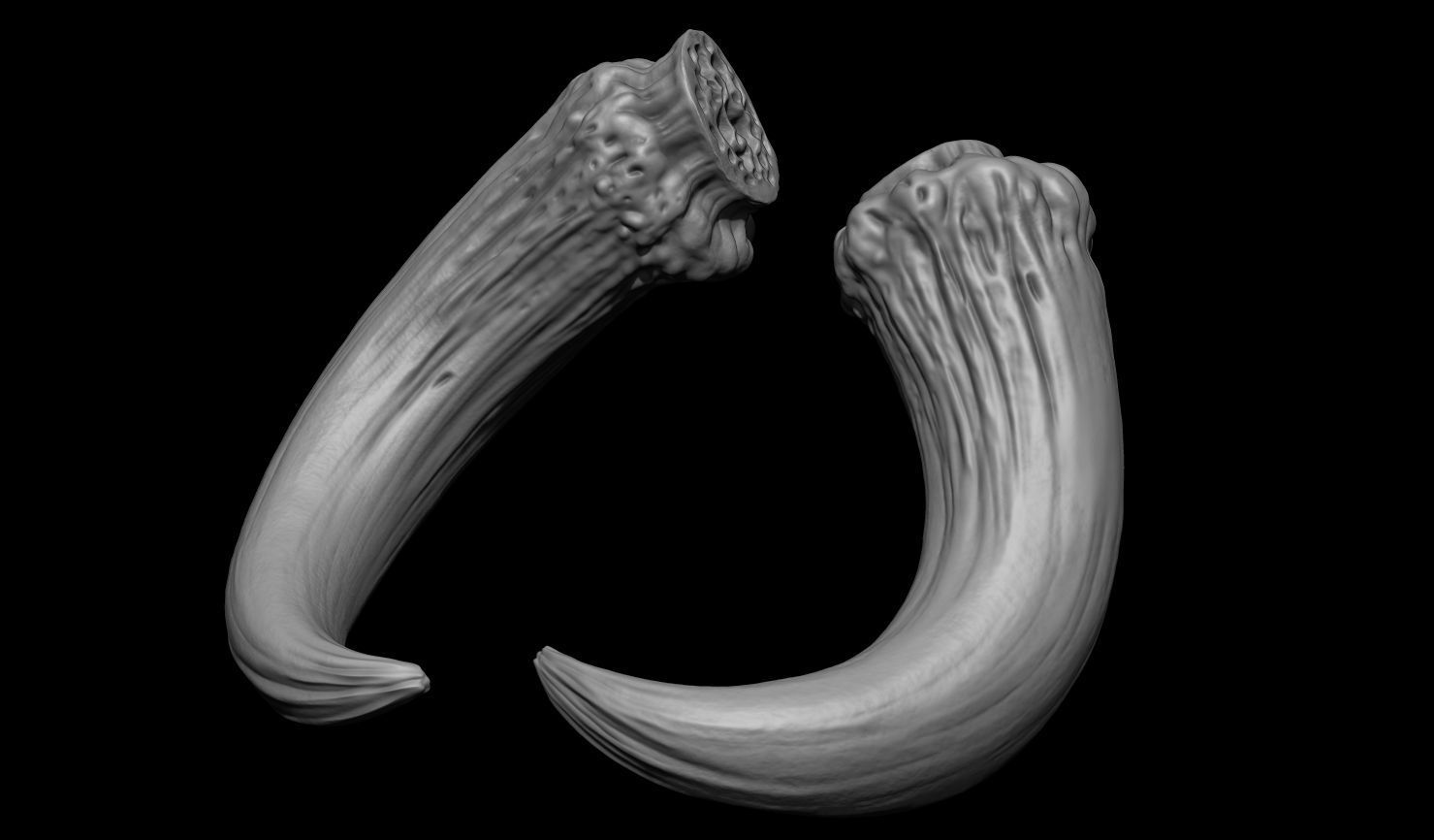 3D PRINTABLE MYTHOSAUR SKULL HORNS SORGAN FROG THE MANDALORIAN 3D print model_39