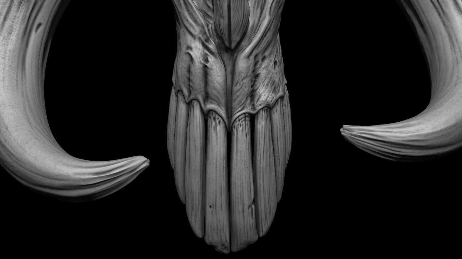 3D PRINTABLE MYTHOSAUR SKULL HORNS SORGAN FROG THE MANDALORIAN 3D print model_22