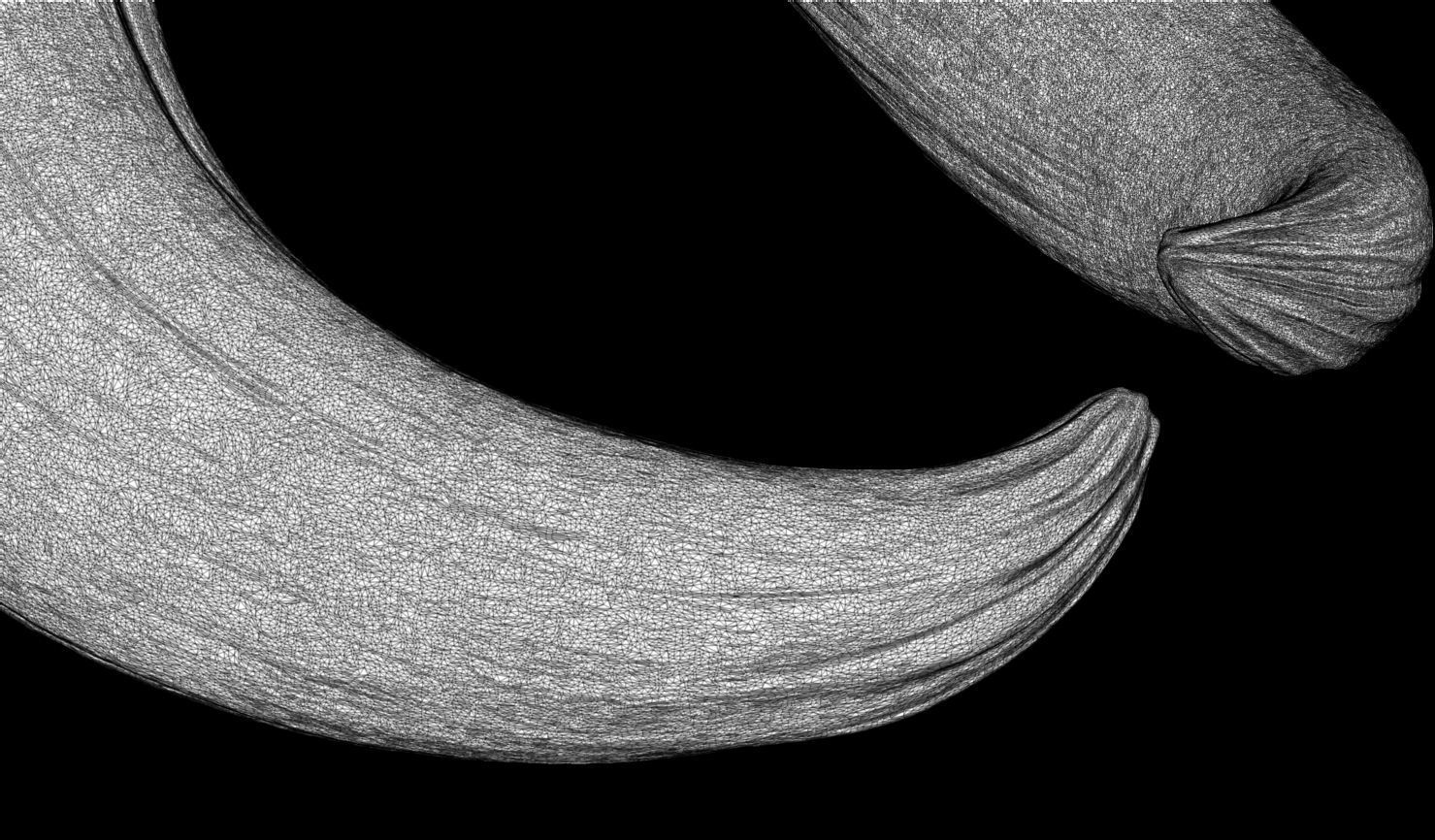 3D PRINTABLE MYTHOSAUR SKULL HORNS SORGAN FROG THE MANDALORIAN 3D print model_48